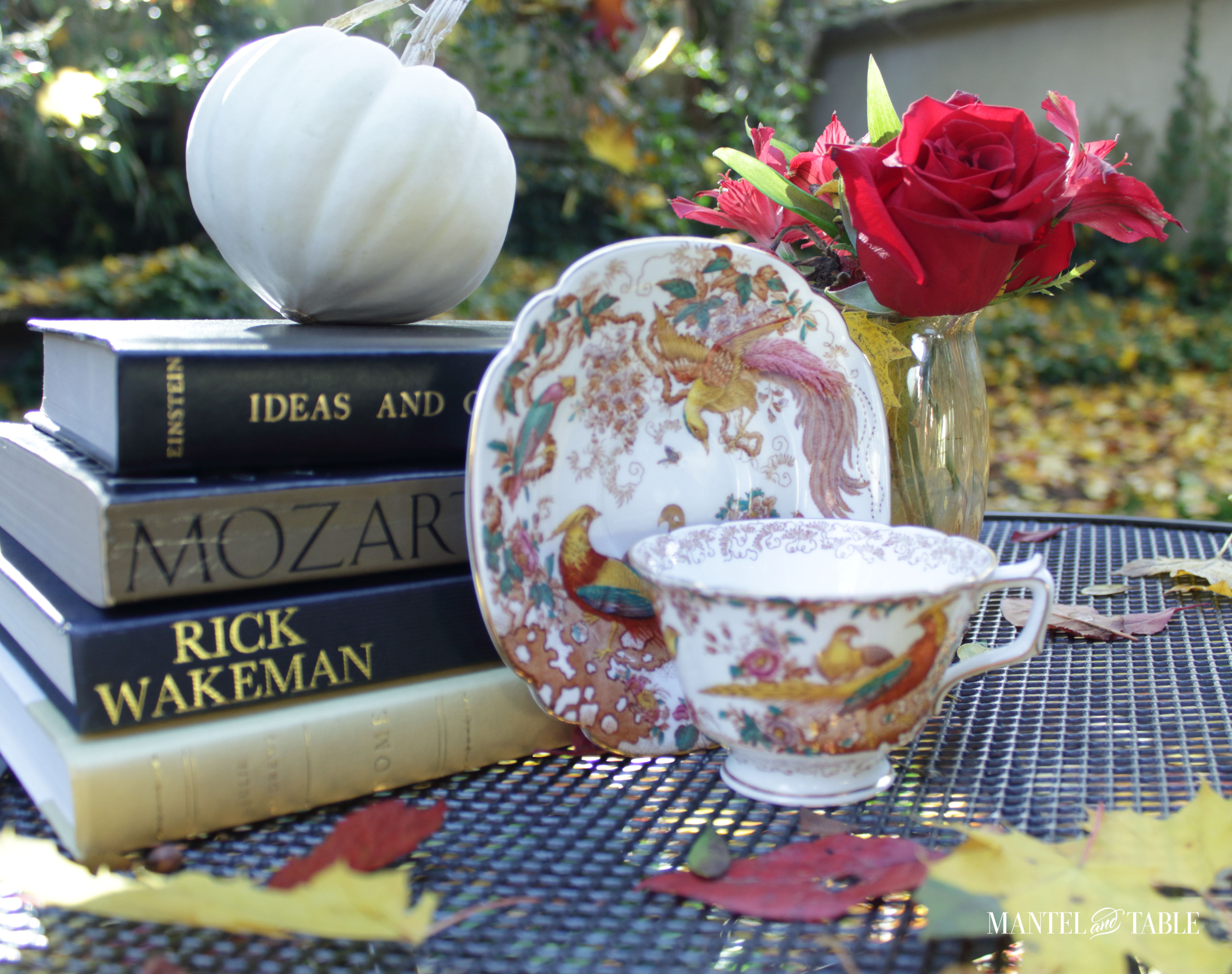 Teacup & saucer leaning up on stack of books