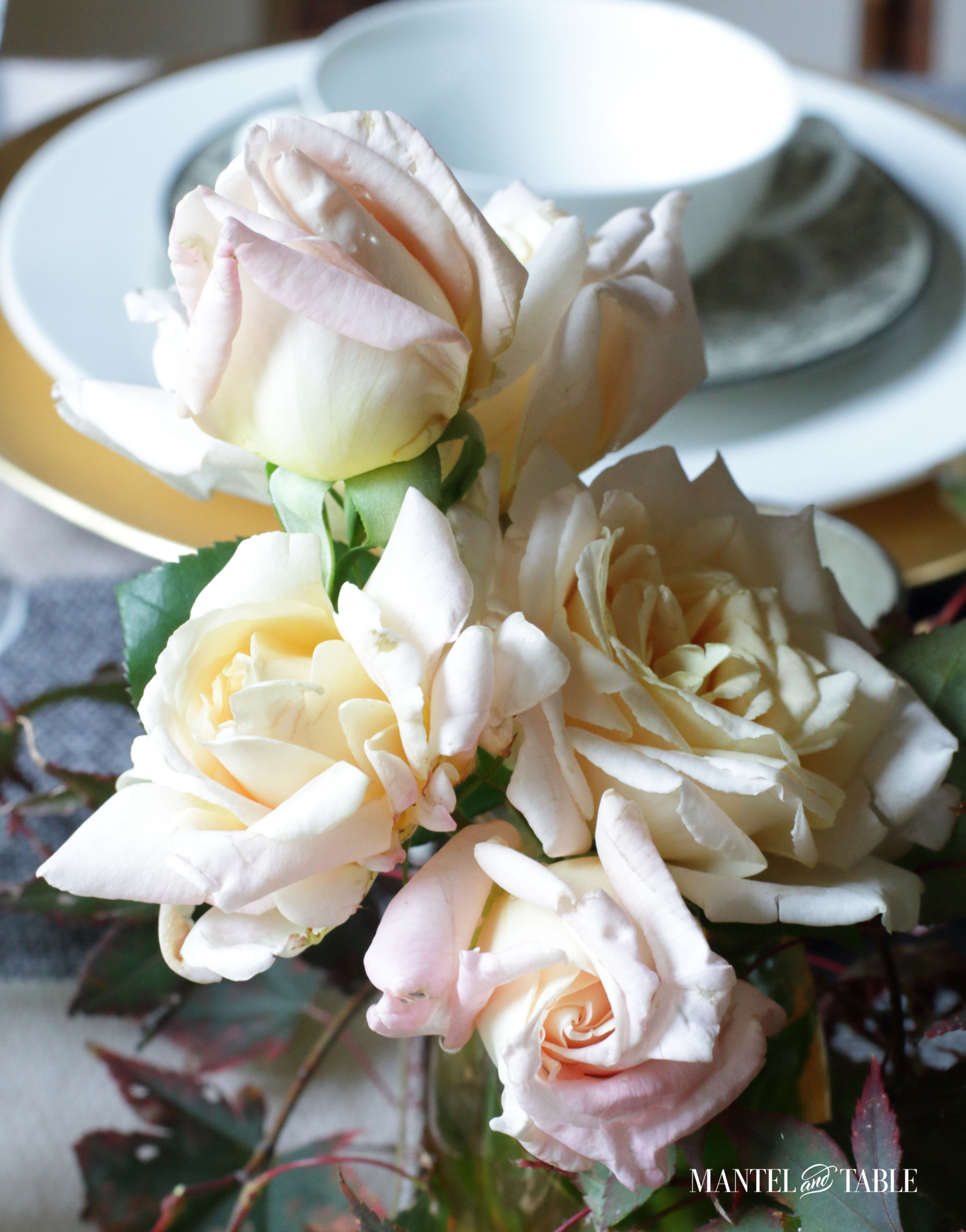 Moody Fall Table view of roses close up