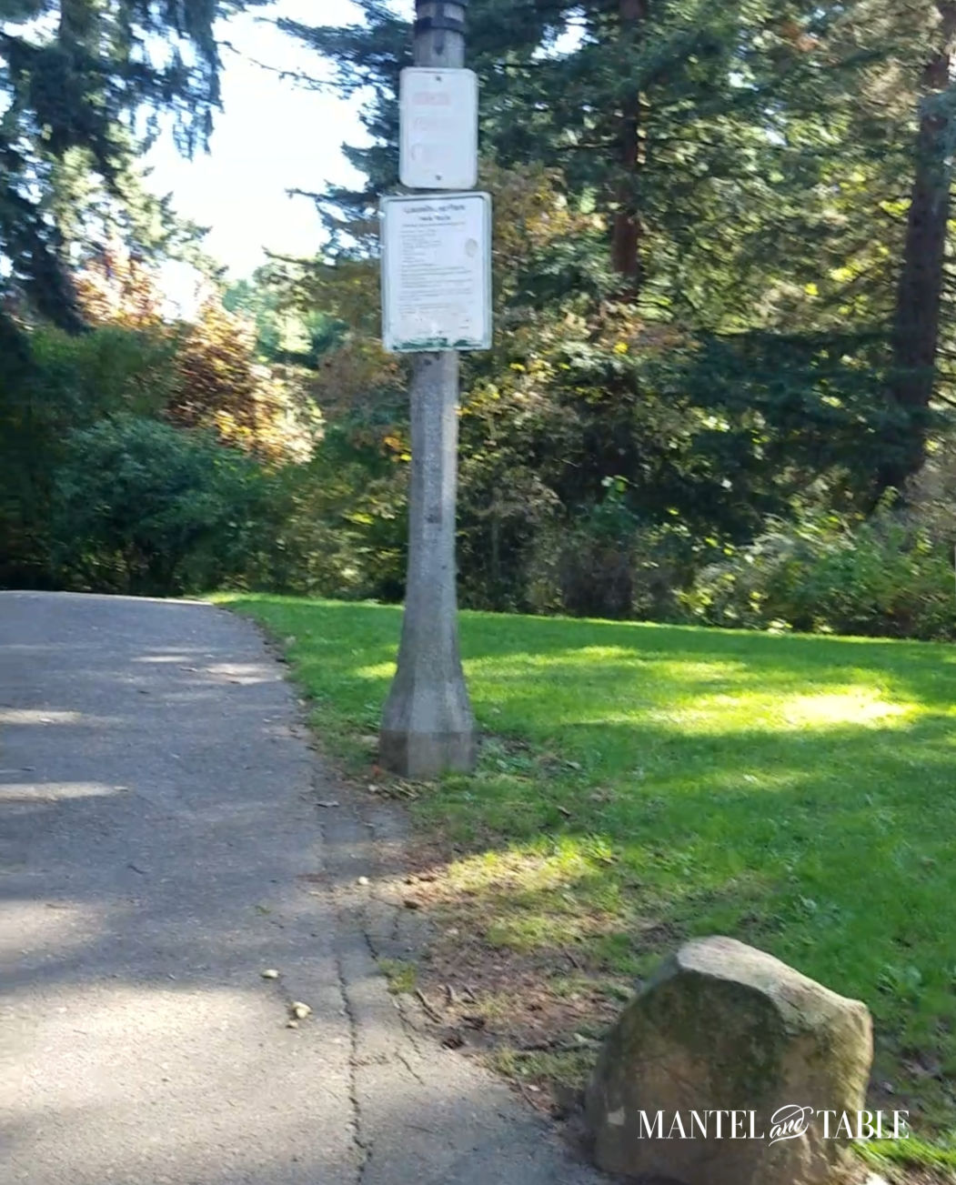 Elegant Fall Picnic Path and grassy area in the park