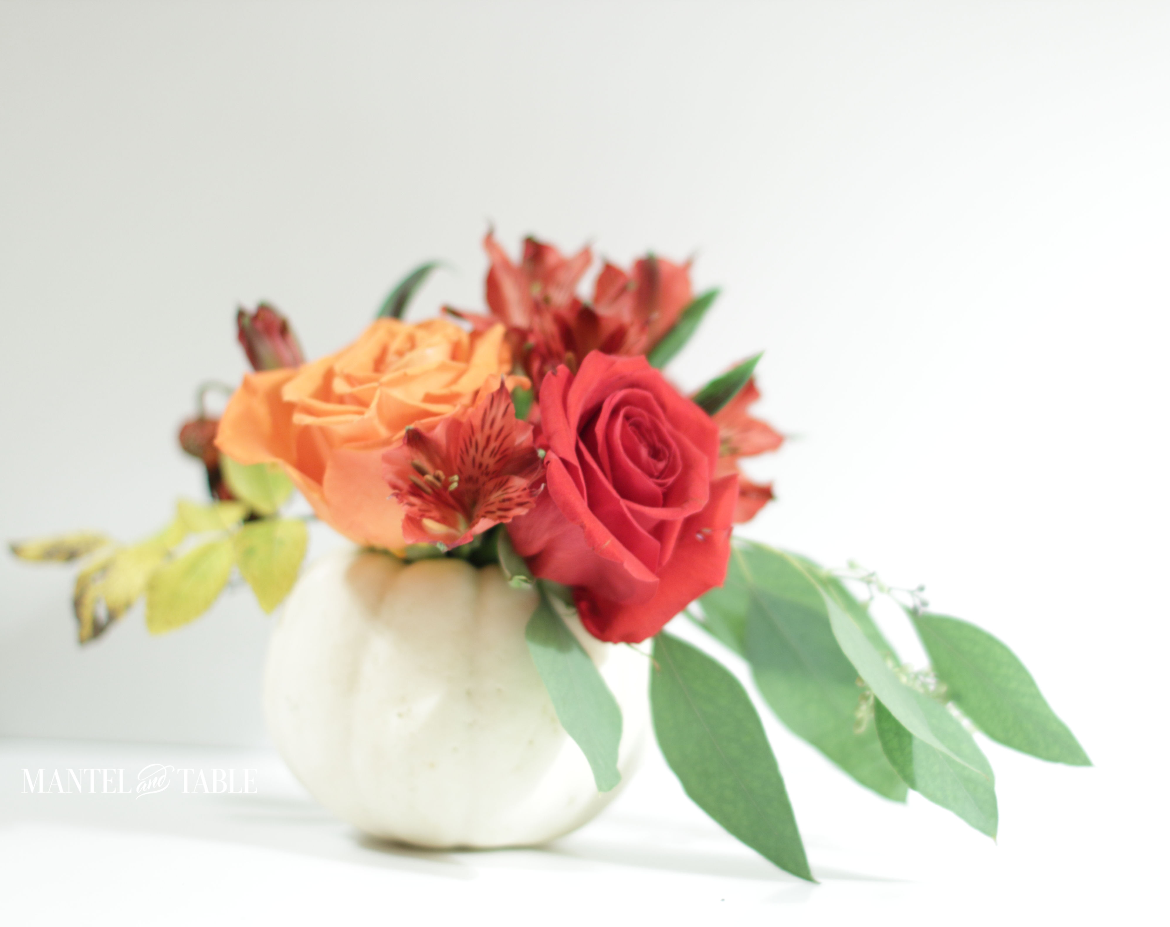 White pumpkin flower arrangement - baby boo on white background, red & orange roses