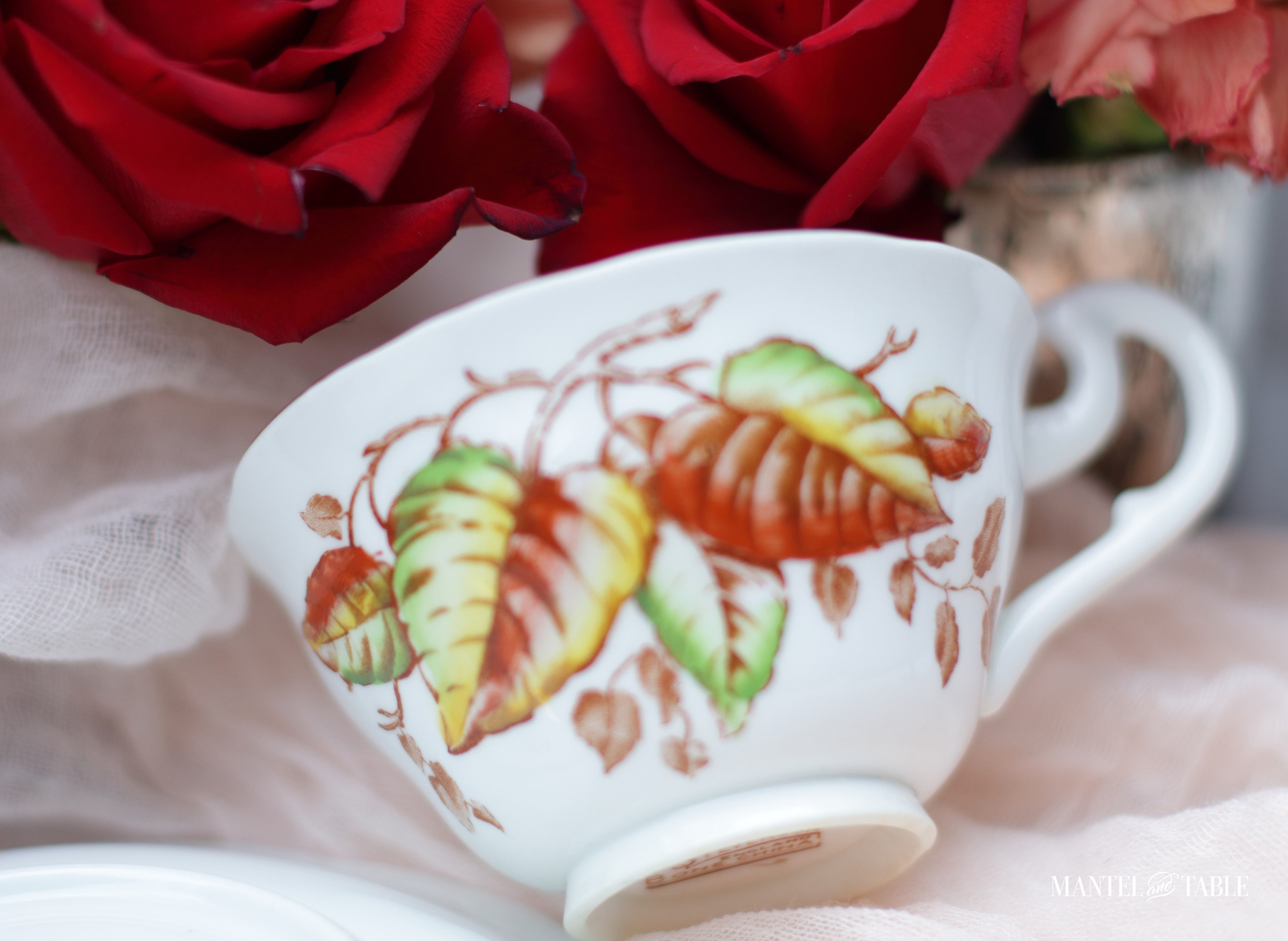 Fall teacup side view closeup