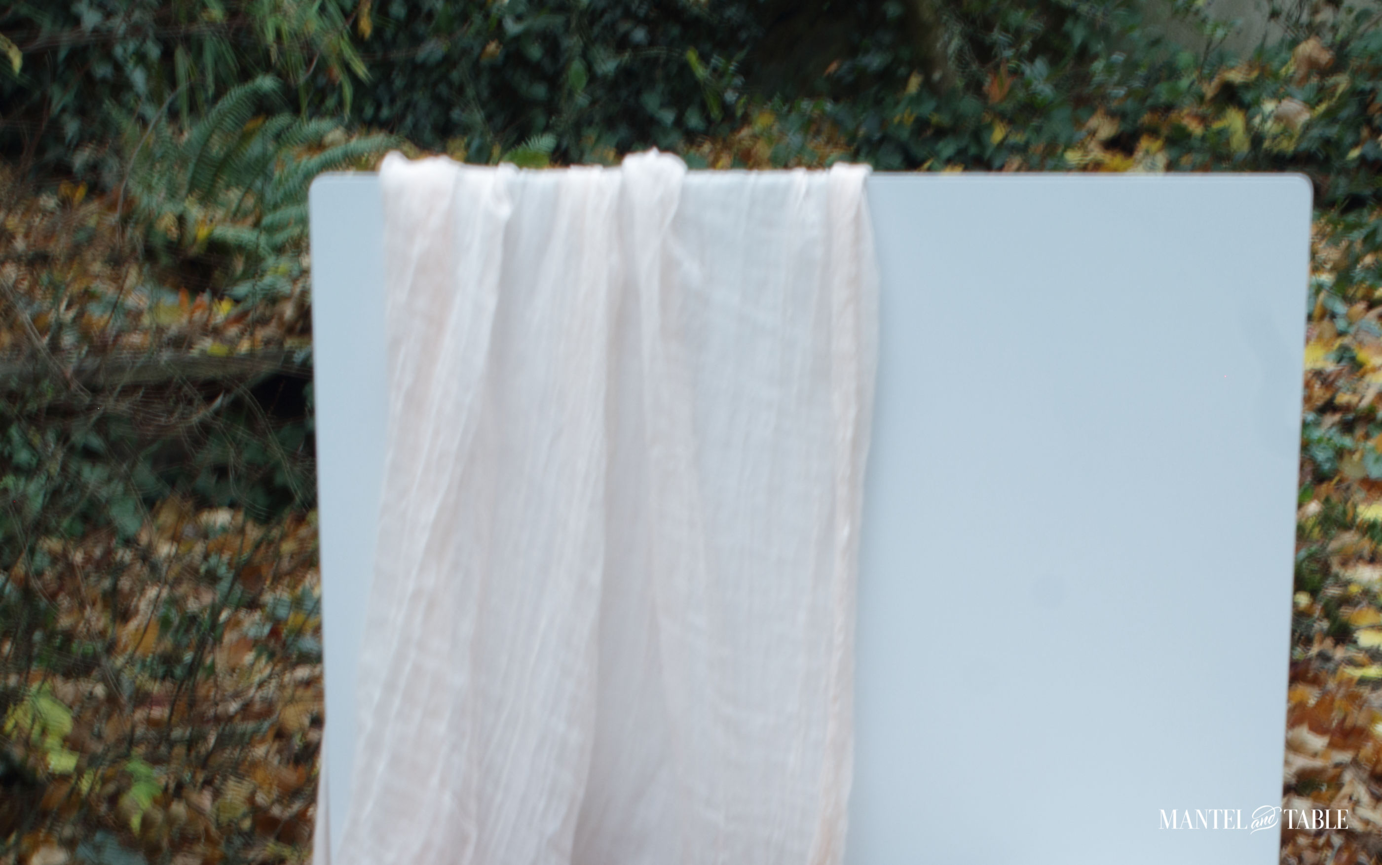 fall teacup white background draped with peach voile