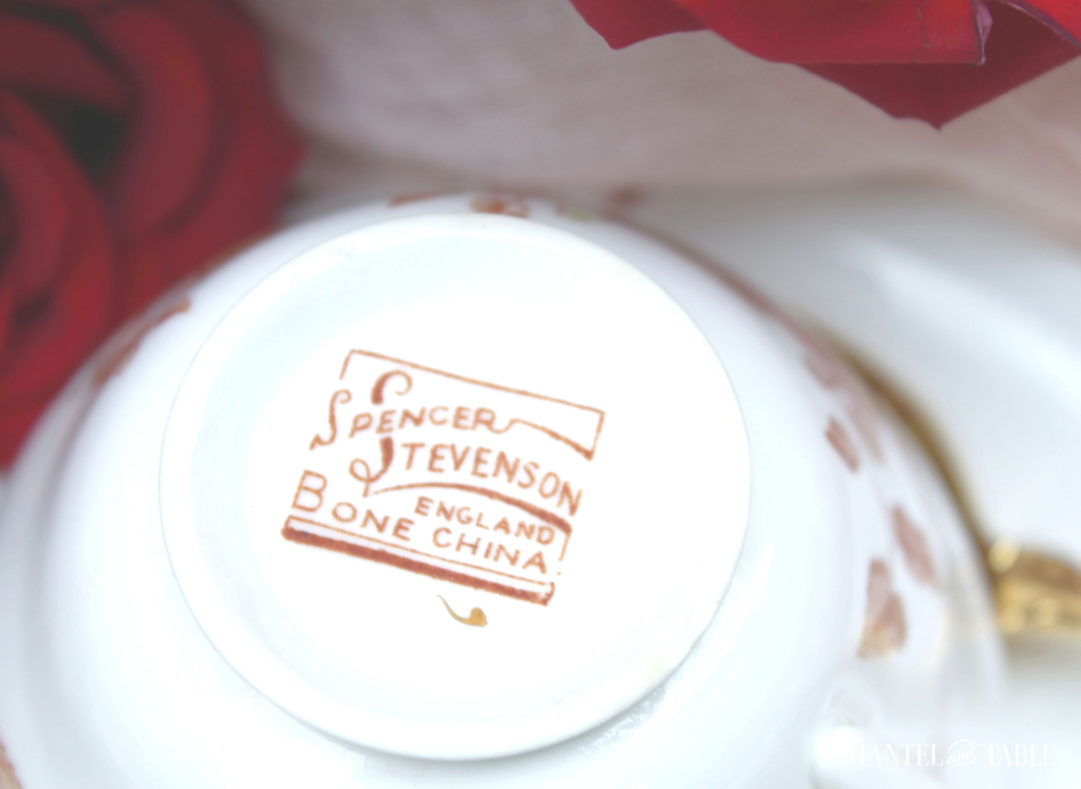 Backstamp closeup "Spencer Stevenson England Bone China"