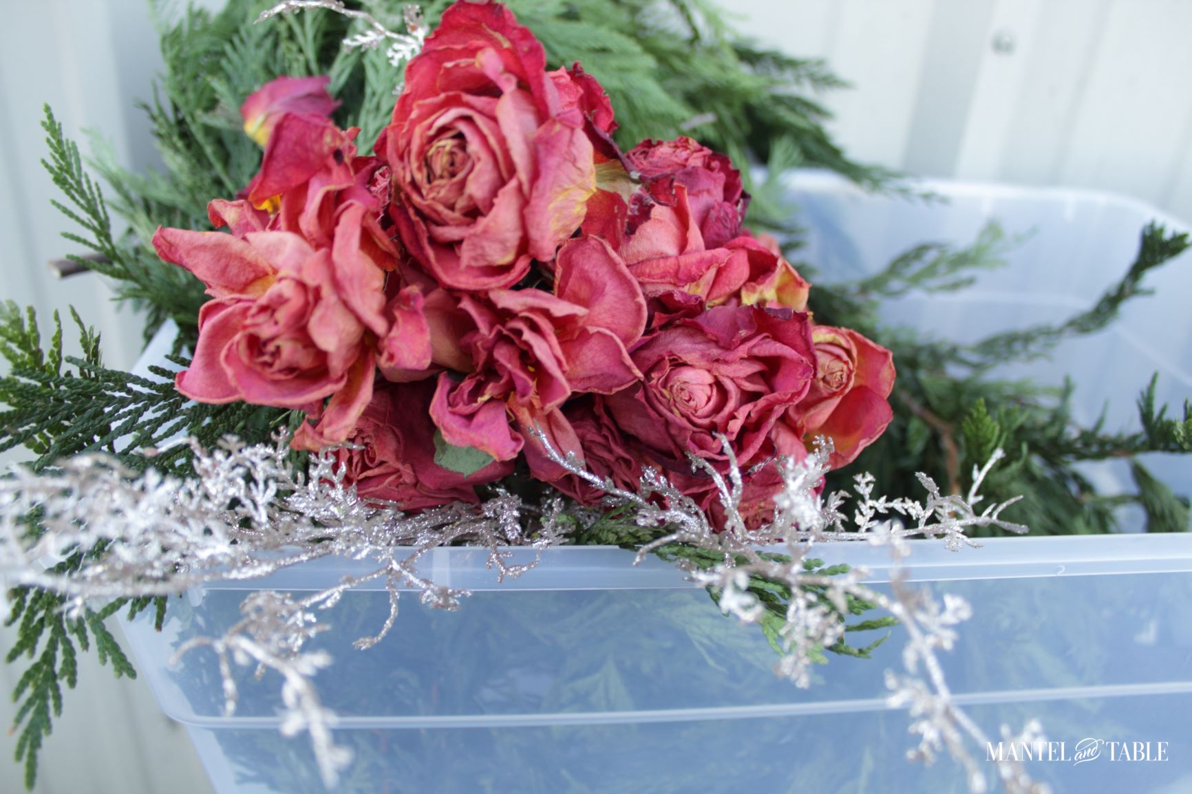 Dried salmon roses with evergreen garland and sparkle branches in clear plastic tub