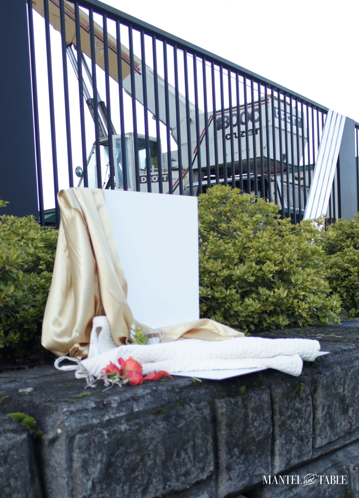 What and gold Wales Teacup full setup view on stone wall with holly-looking bushes and a crane