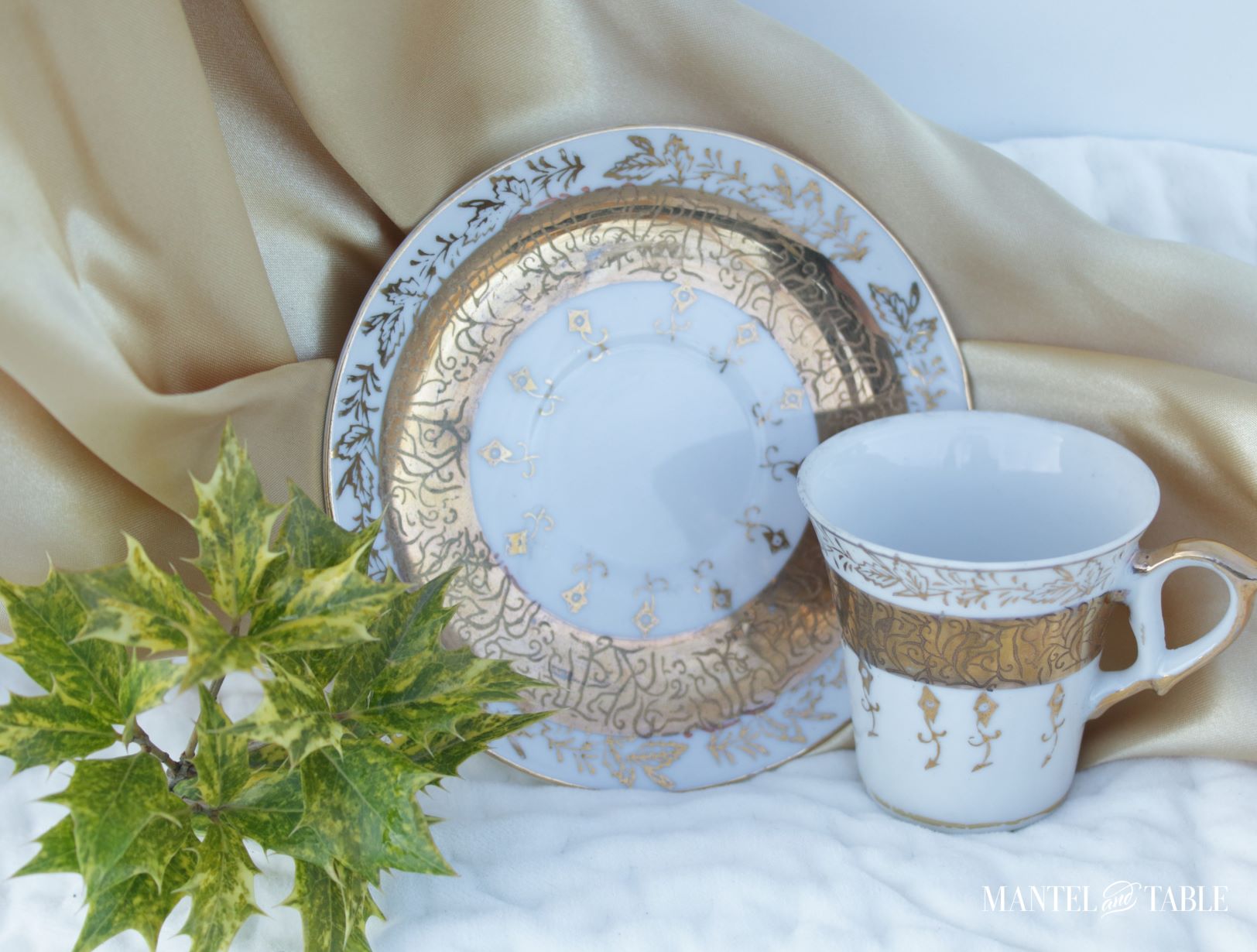 What and gold Wales Teacup with pointy variegated greenery