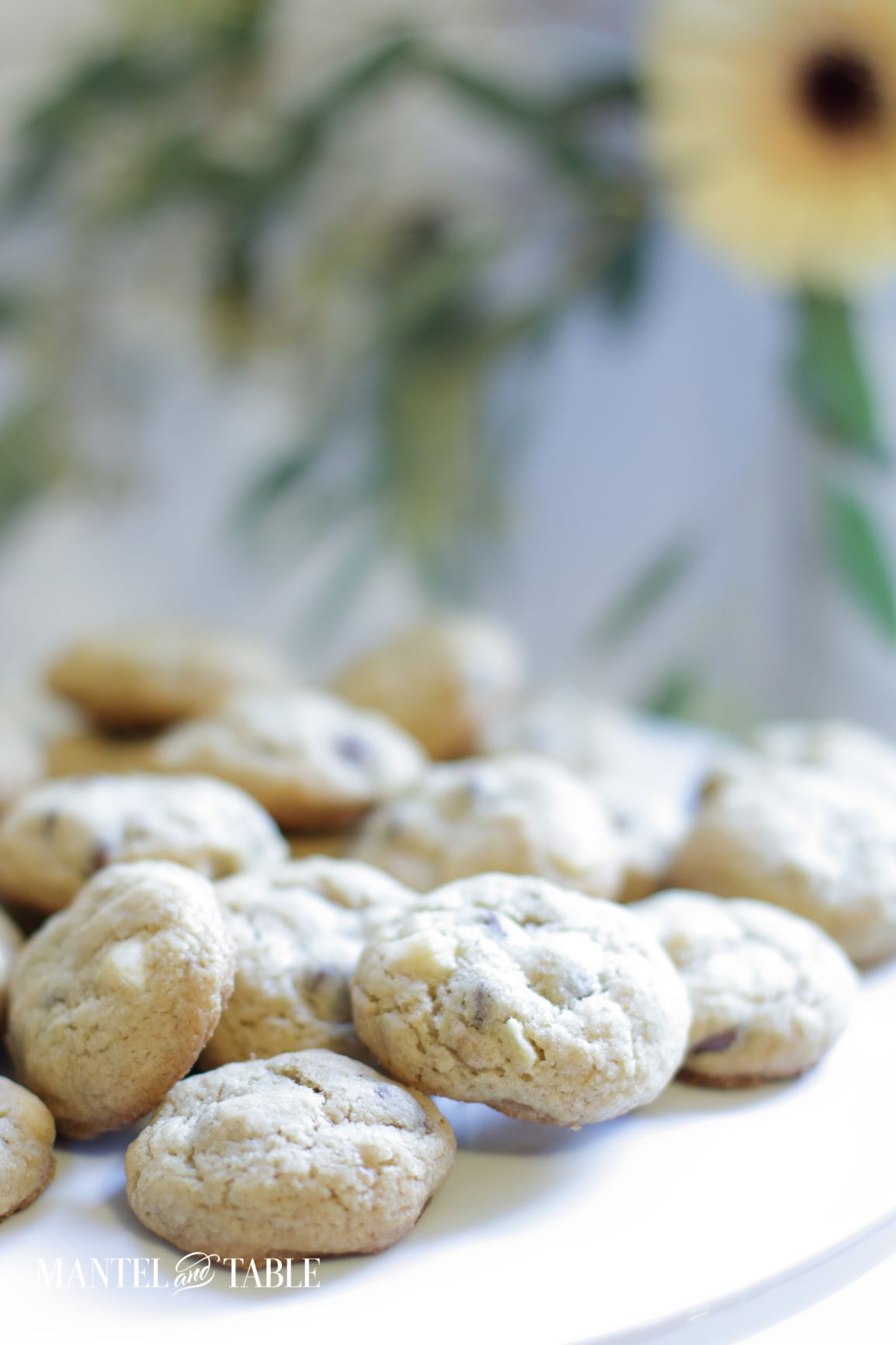 Best Chocolate Chip Cookies ~ Closeup of baked cookies