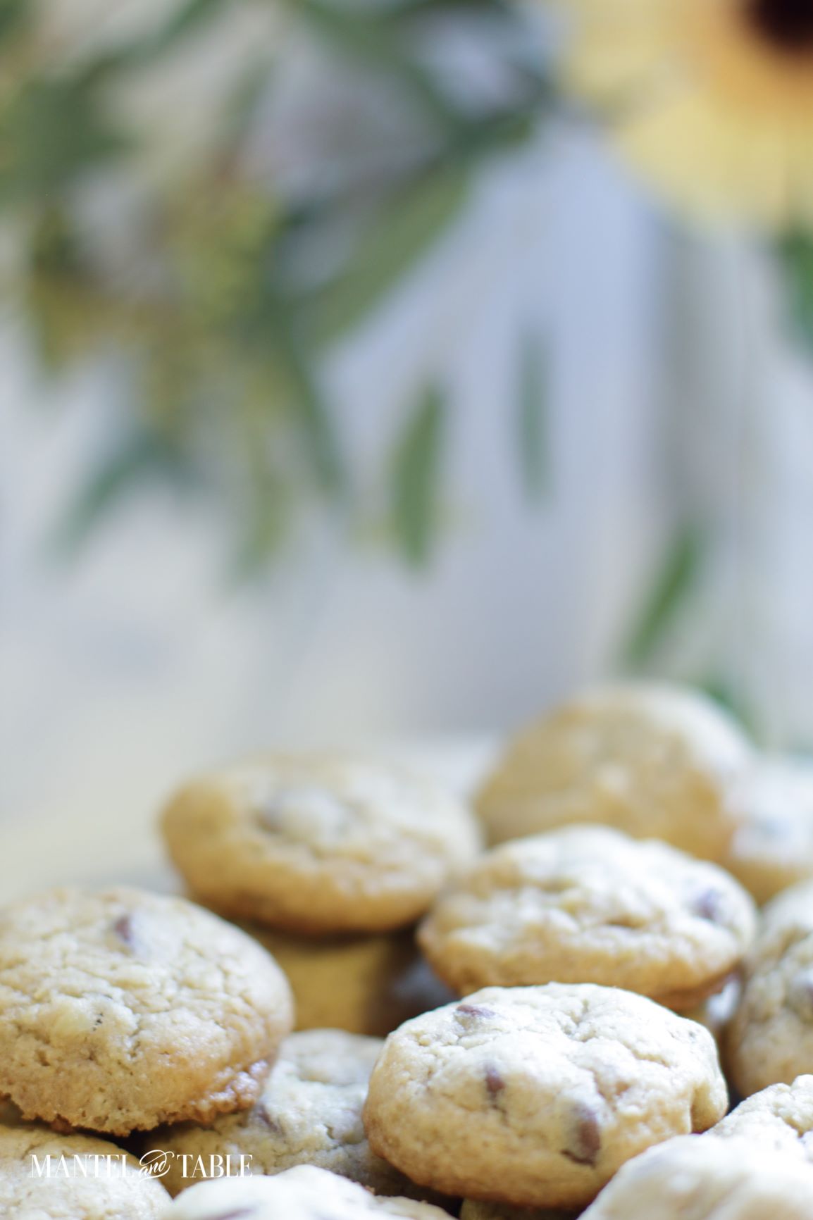 Best Chocolate Chip Cookies ~ Super close up of cookies