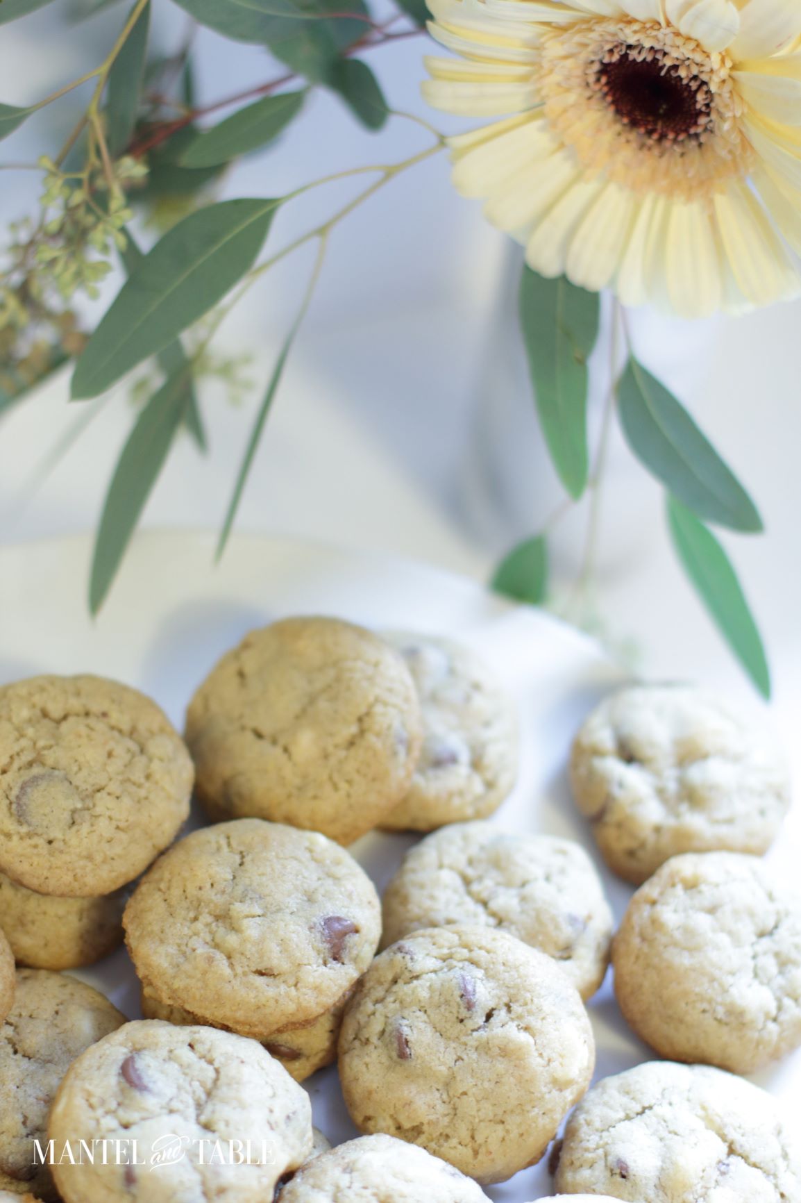Best Chocolate Chip Cookies ~ Closeup of cookies and flower