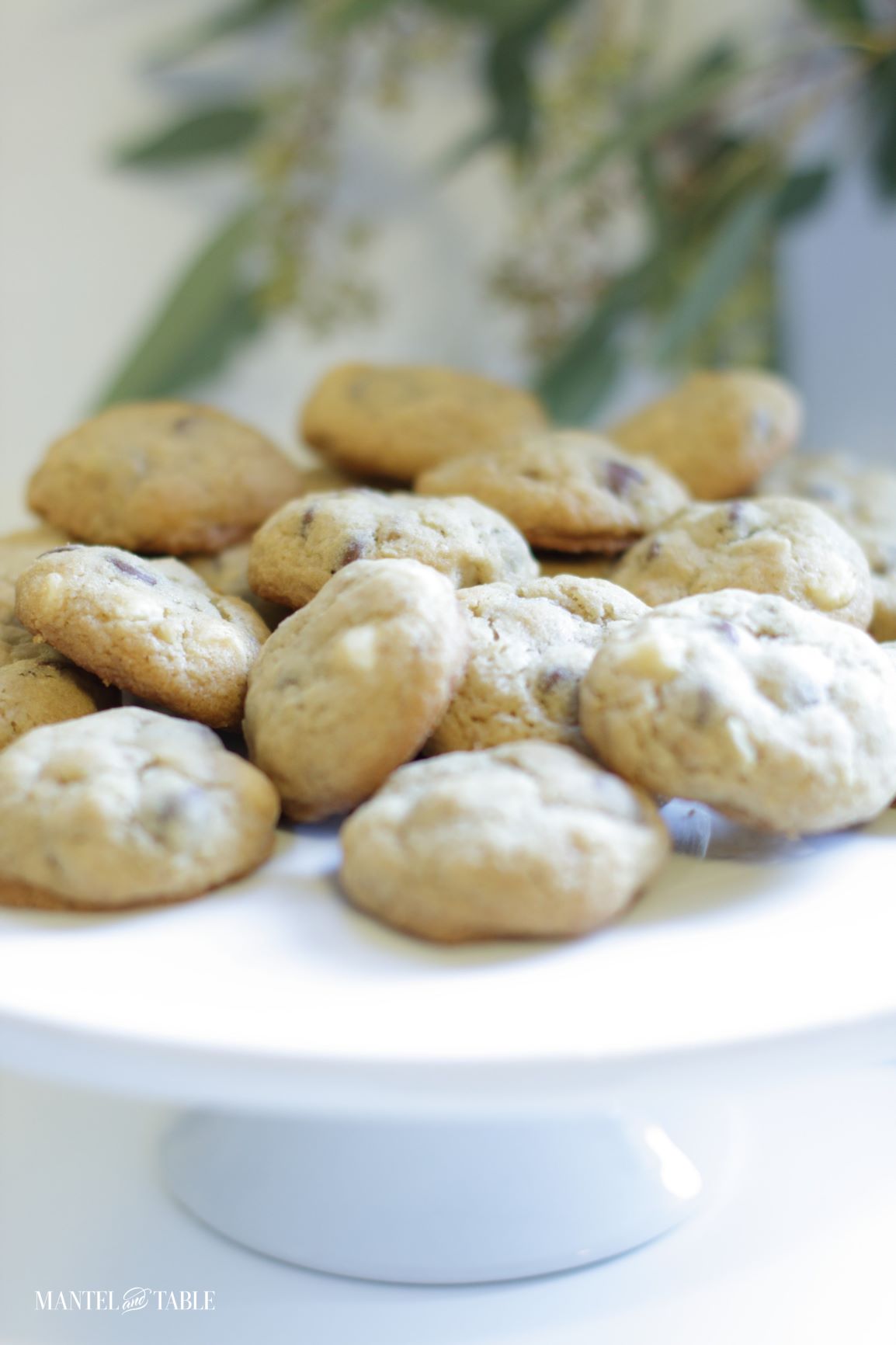 Best Chocolate Chip Cookies ~ Cookies on a white stand