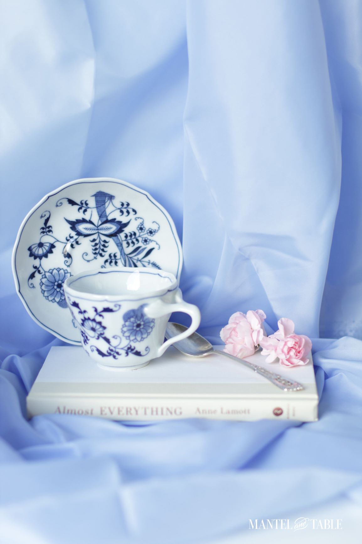 Blue Danube teacup & saucer