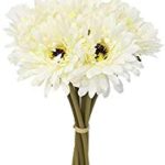 Faux Daisies - Cream