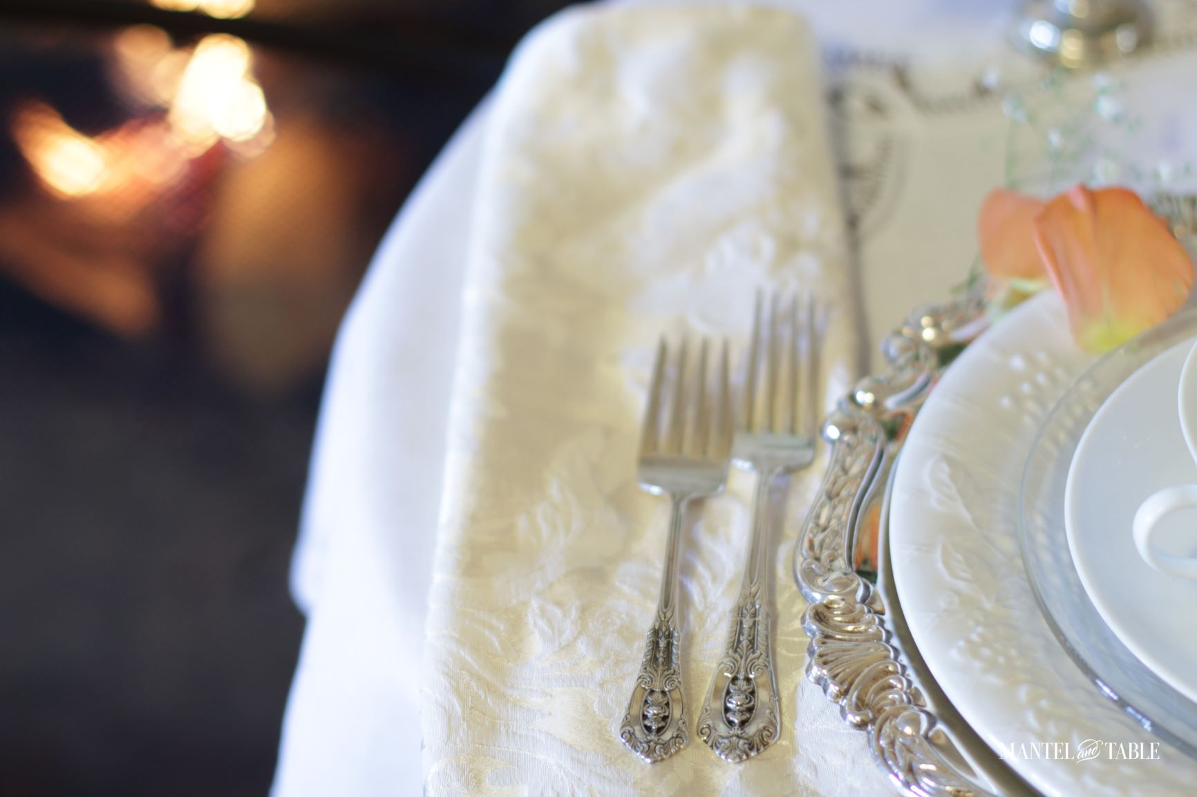 Table Setting for One ~ closeup of silverware and charger