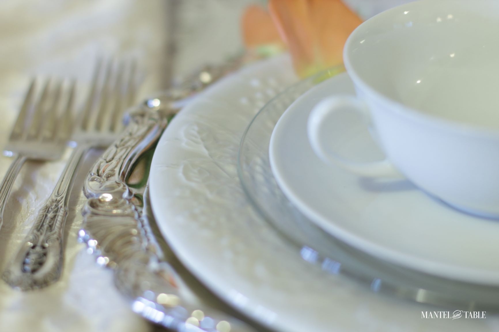 Table Setting for One ~ closeup of plate stack