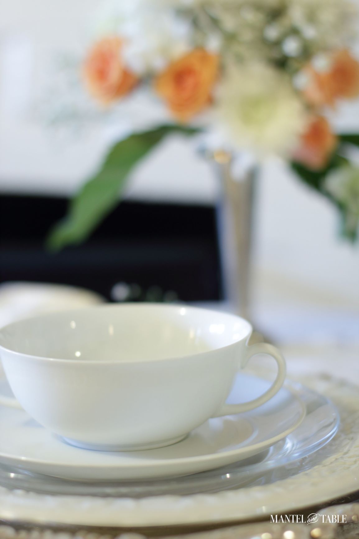 Table Setting for One ~ closeup of soup bowl