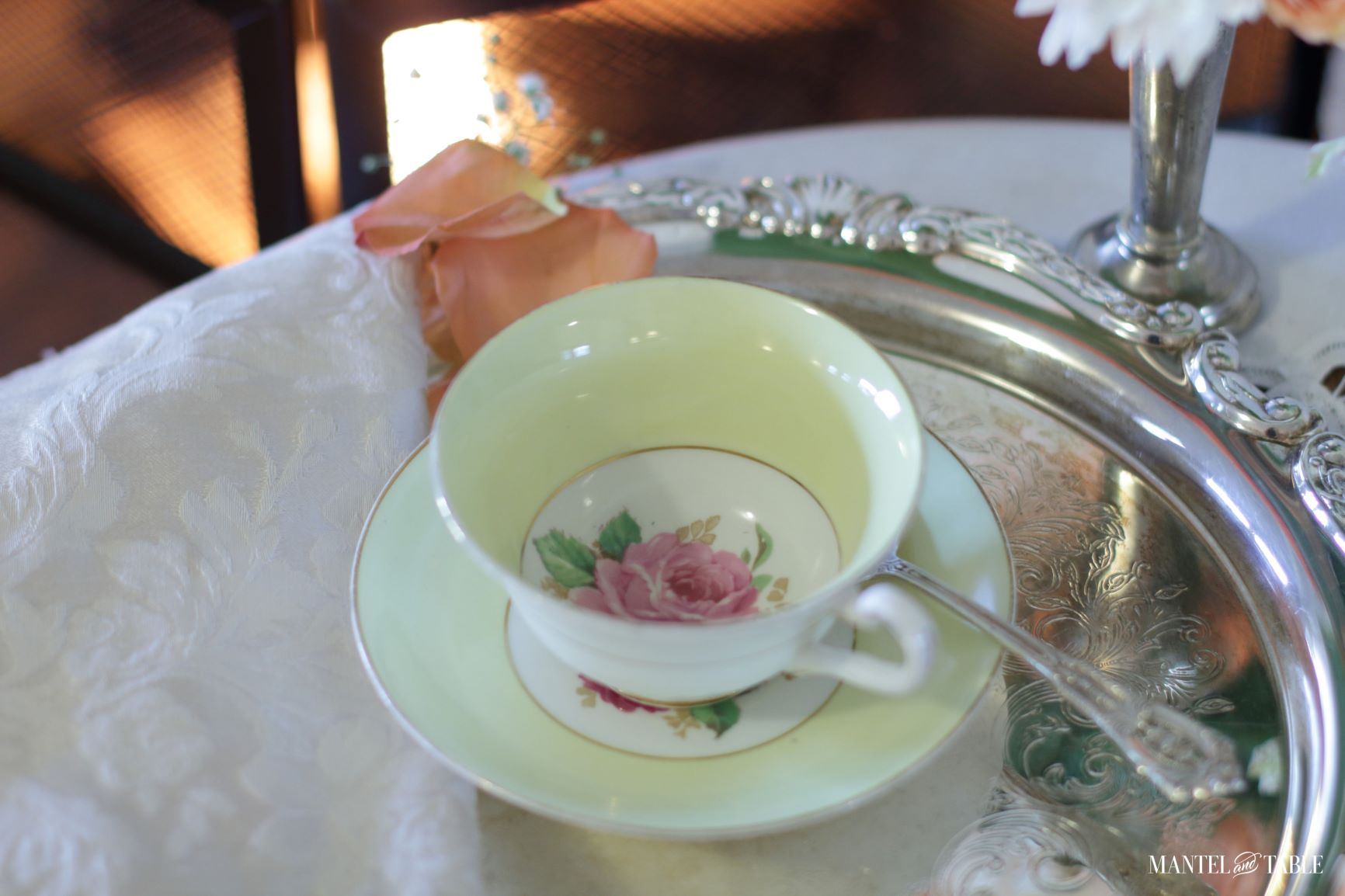 Rosina China Teacup and saucer on silver tray by the fire