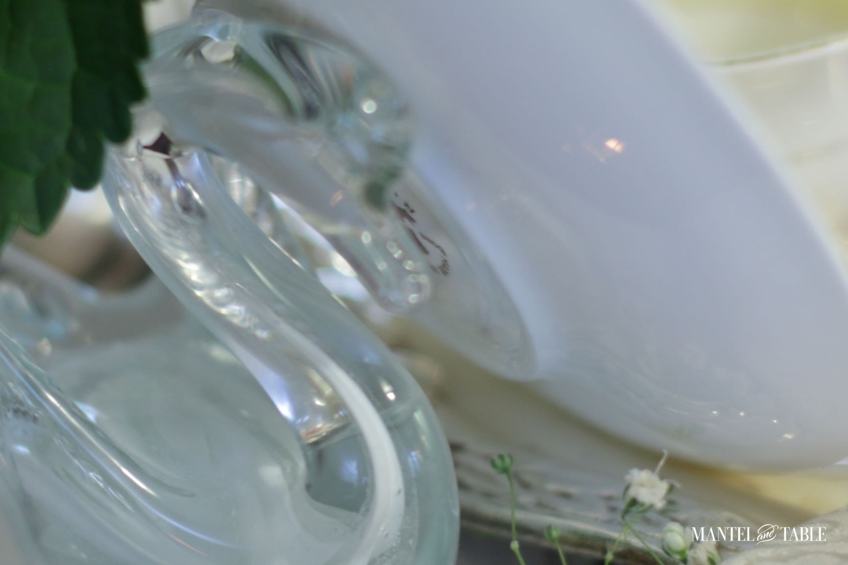 Crystal Swan holding saucer upright