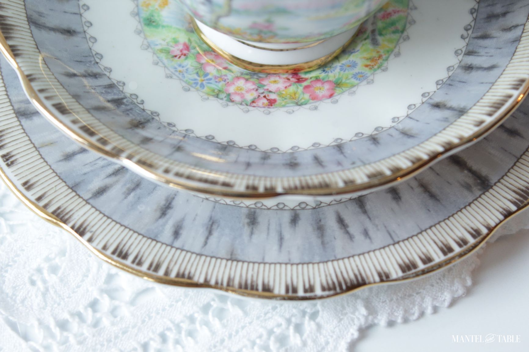 Silver Birch teacup set ~ Closeup of plate edges