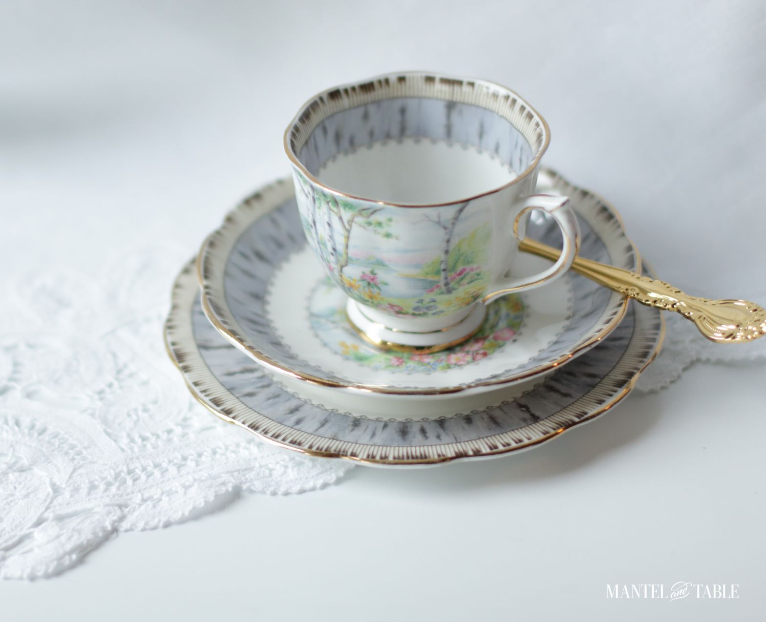 Silver Birch teacup set with gold spoon