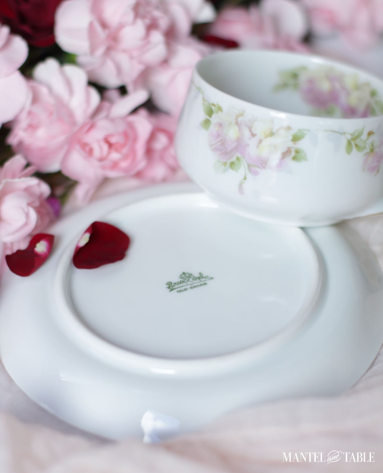 Rosenthal teacup, and saucer showing backstamp