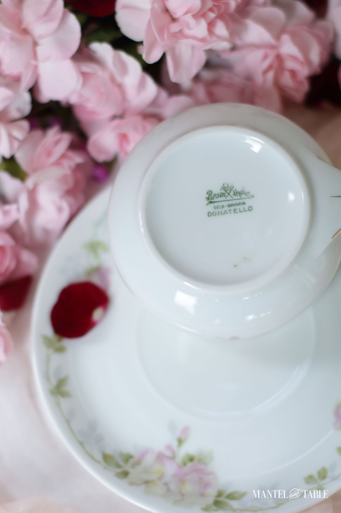 Underside of teacup showing backstamp