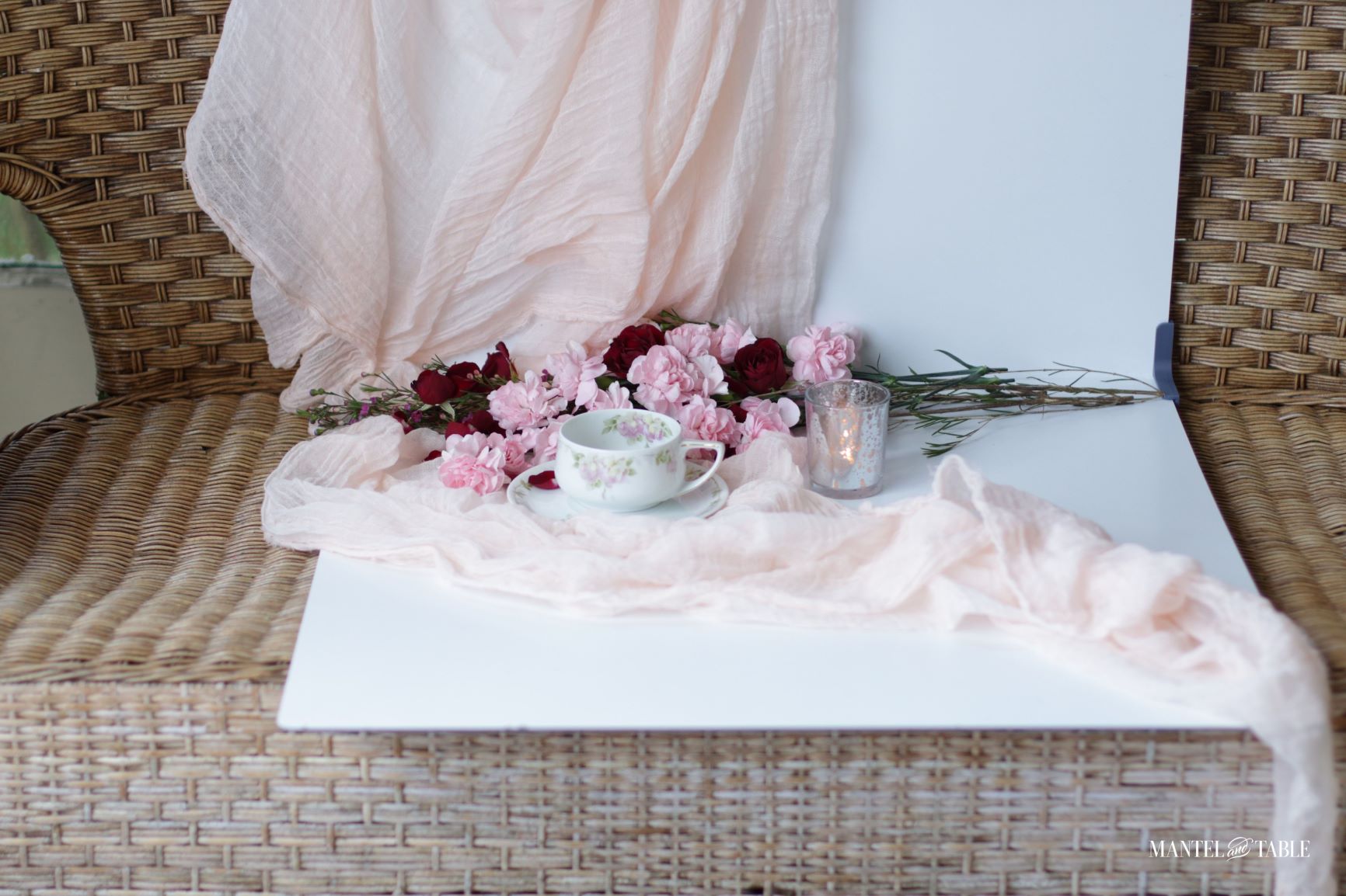 Teacup photo shoot