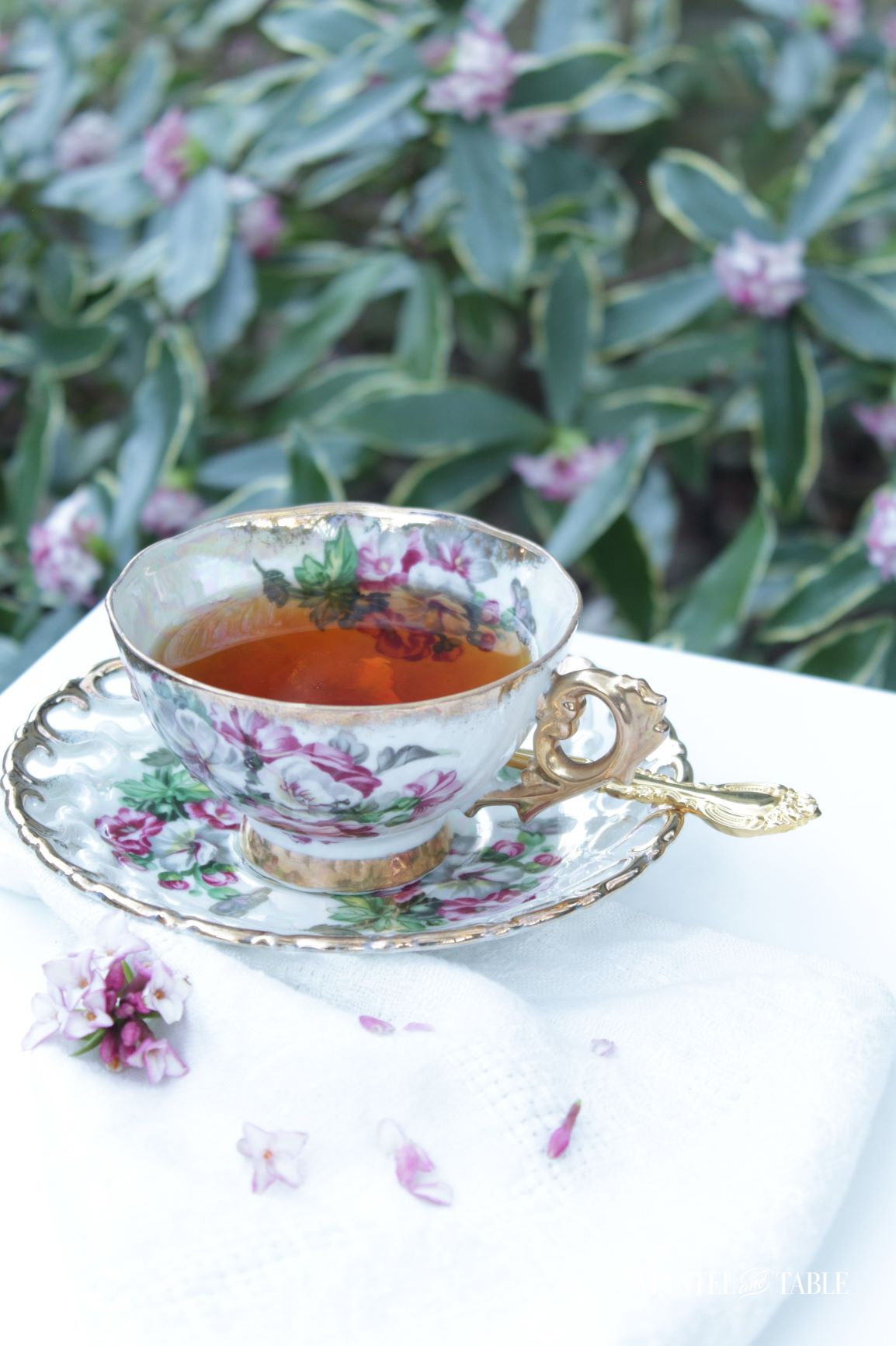 Royal Sealy Teacup ~ side view