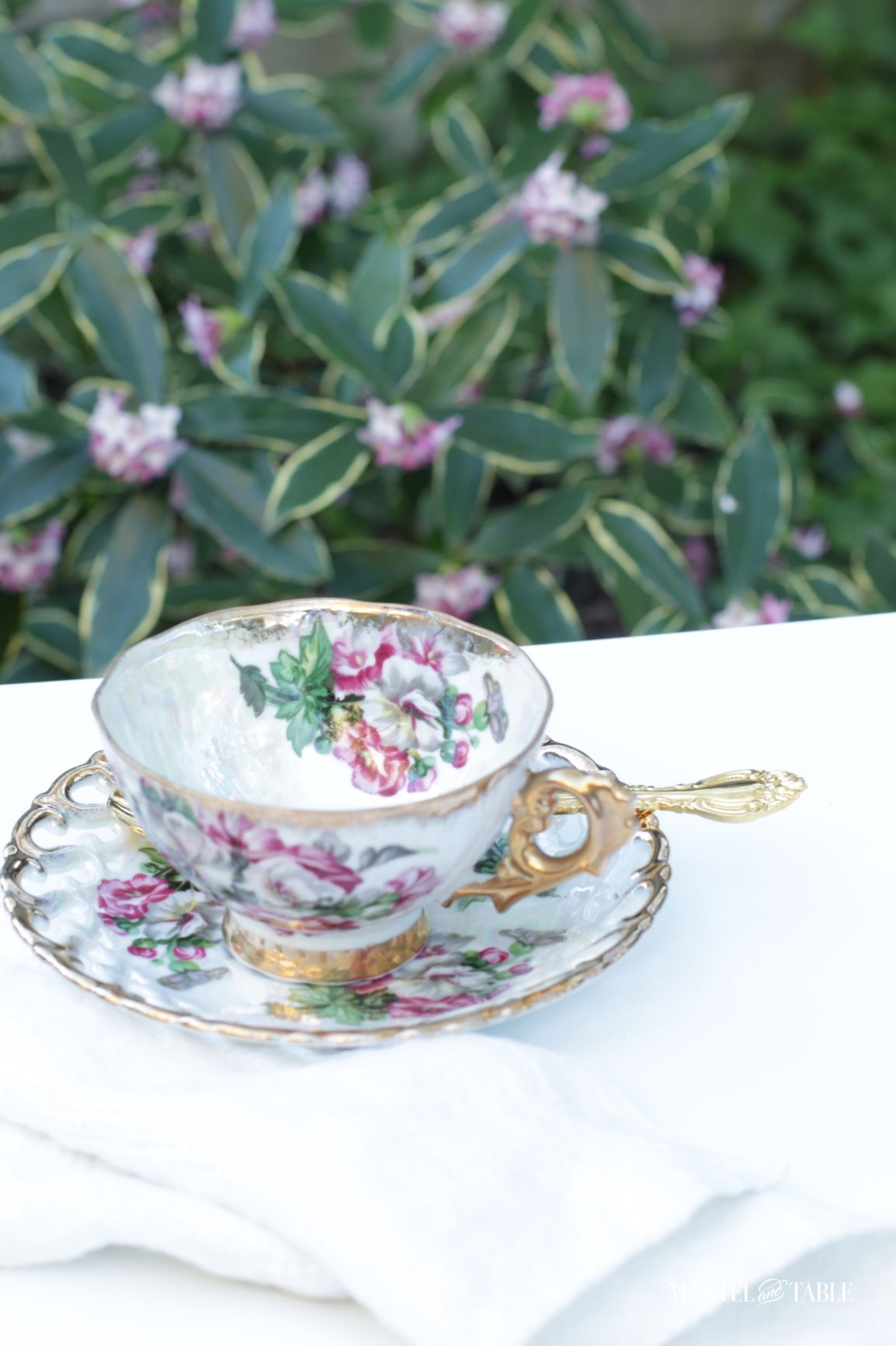 Royal Sealy Teacup ~ on white table with daphne in the background