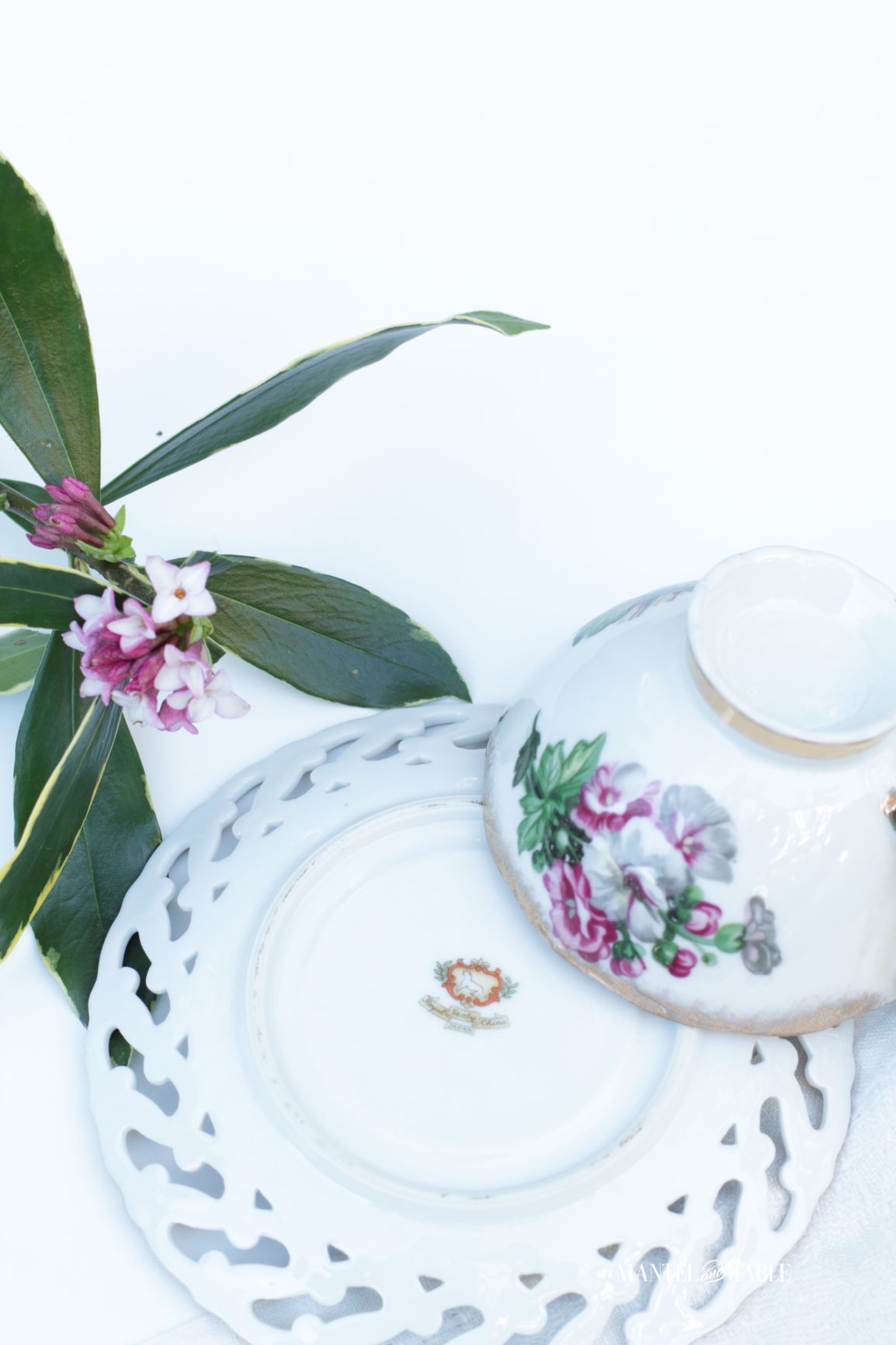 Royal Sealy Teacup ~ backstamp on the saucer