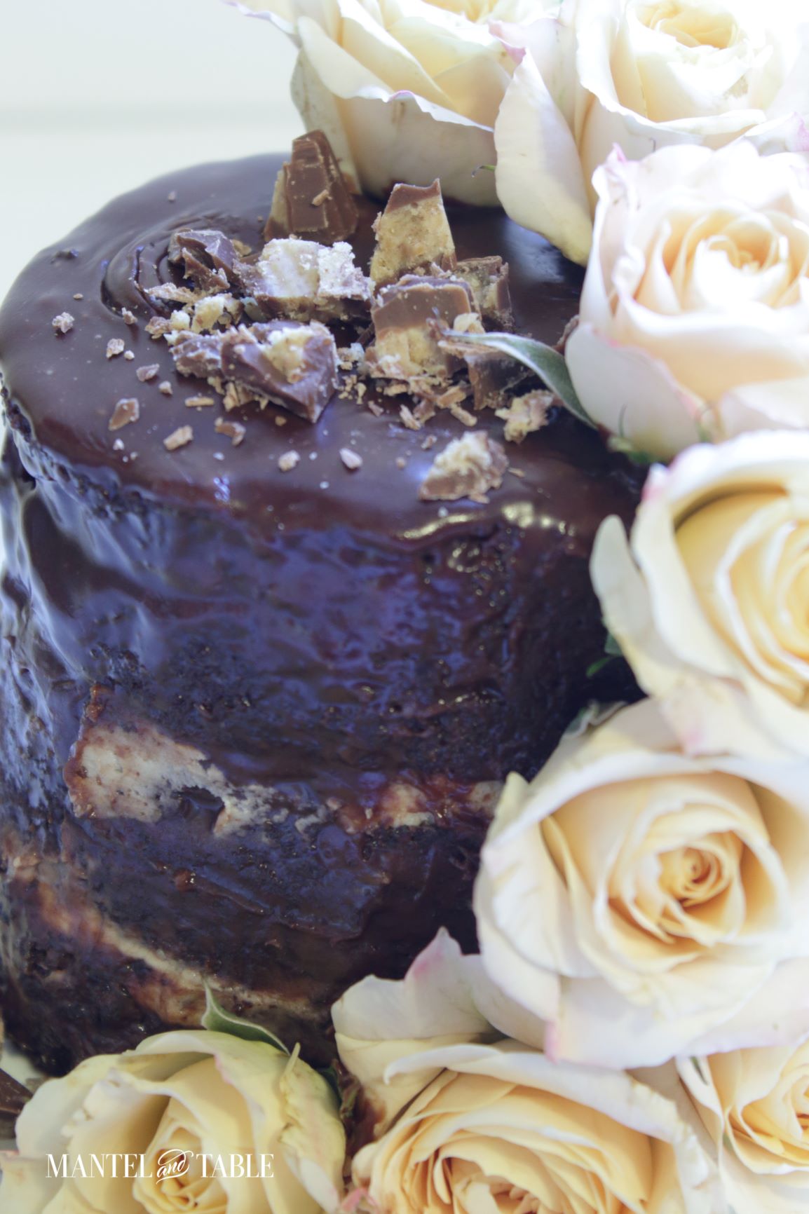 A tiny chocolate cake with roses and chopped peanut butter cups on top