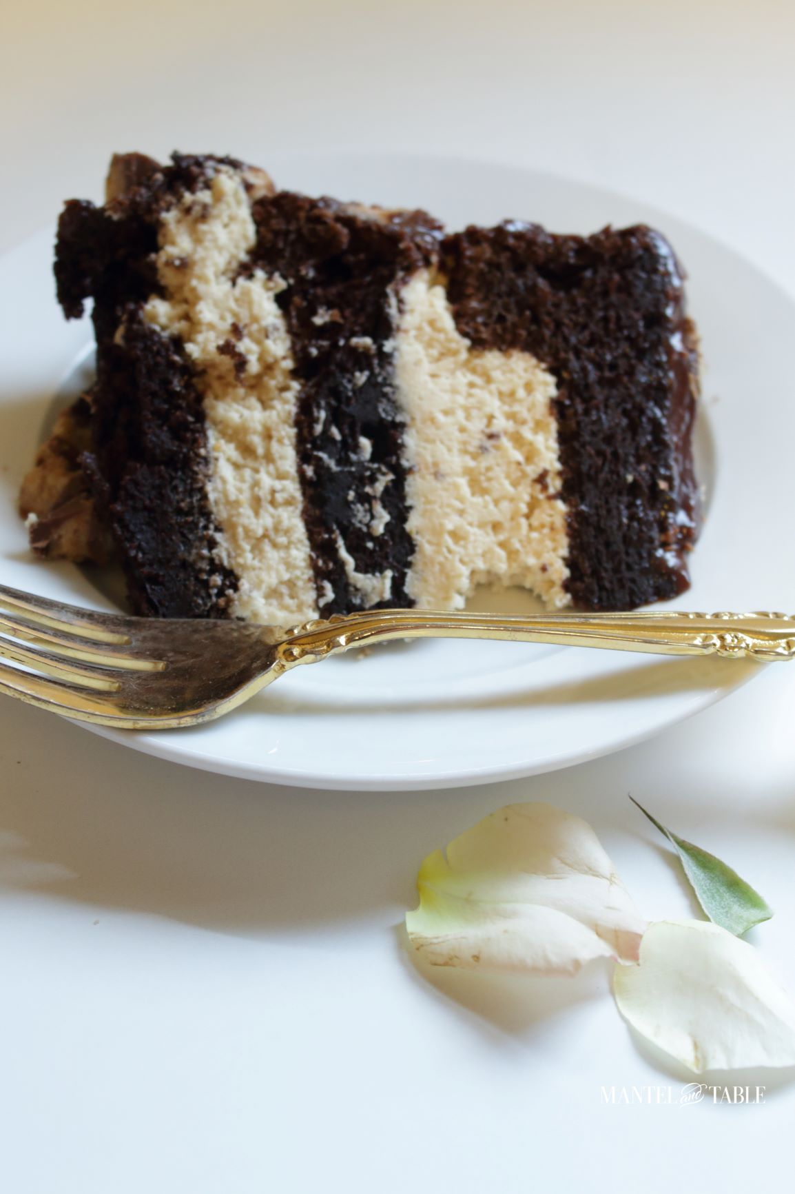 Slice of cake close up