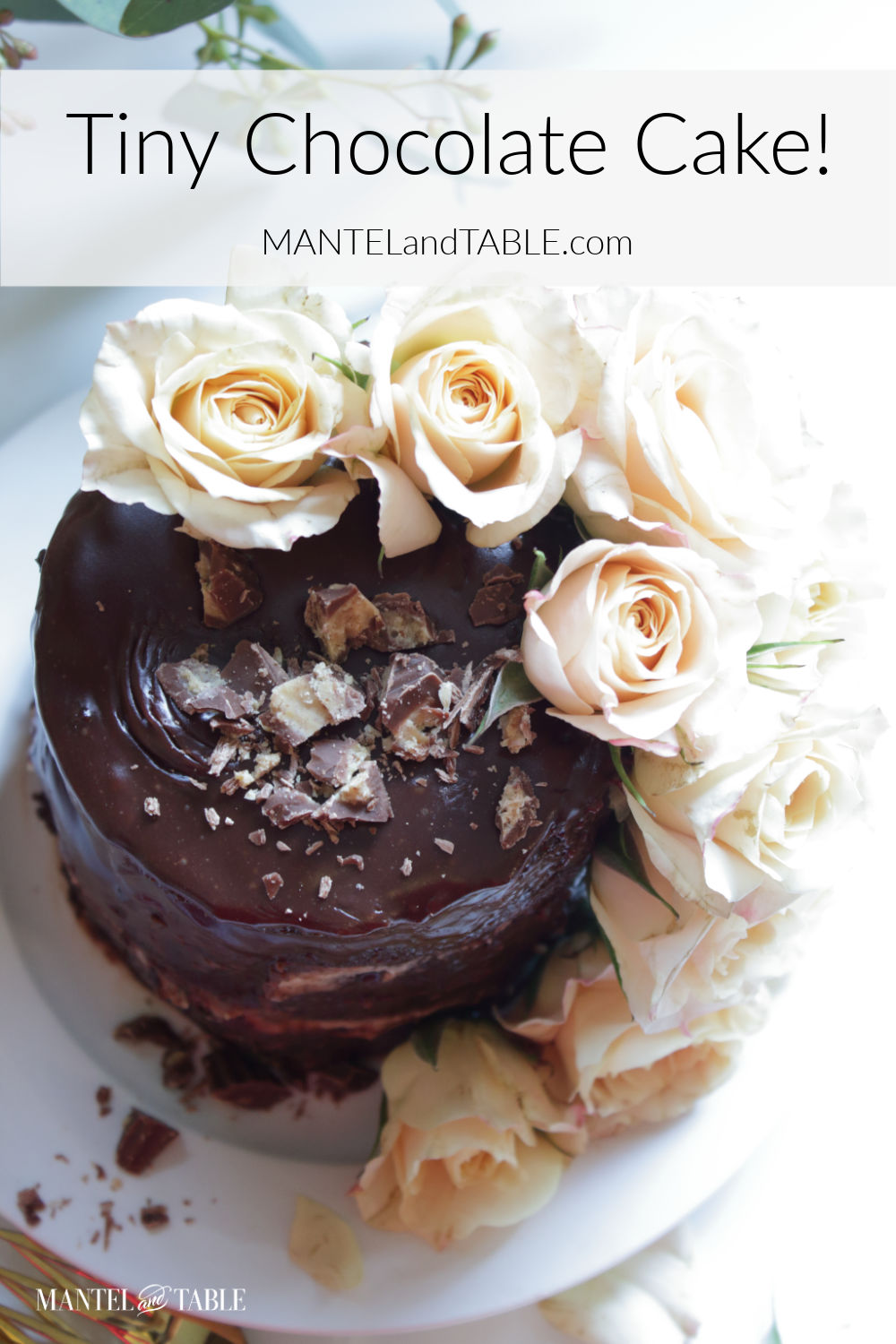 A tiny chocolate cake top view.