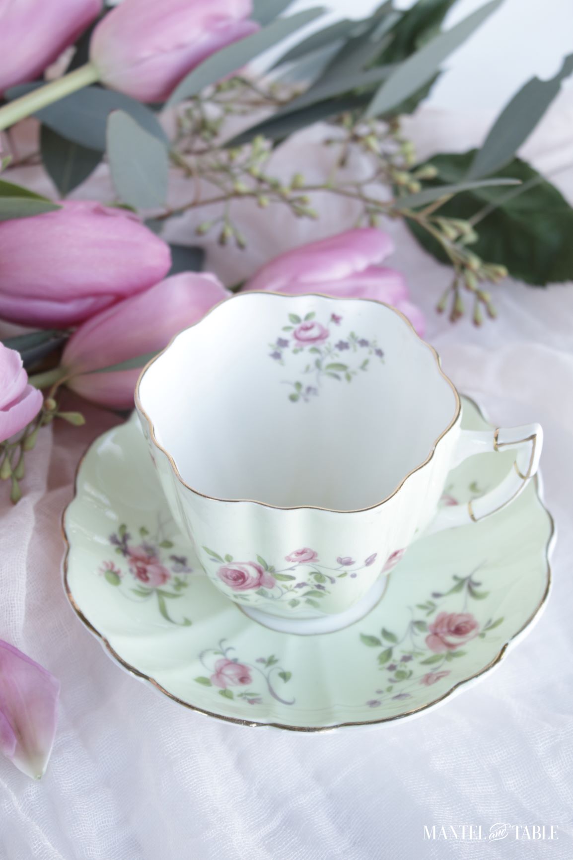 Teacup and saucer top view