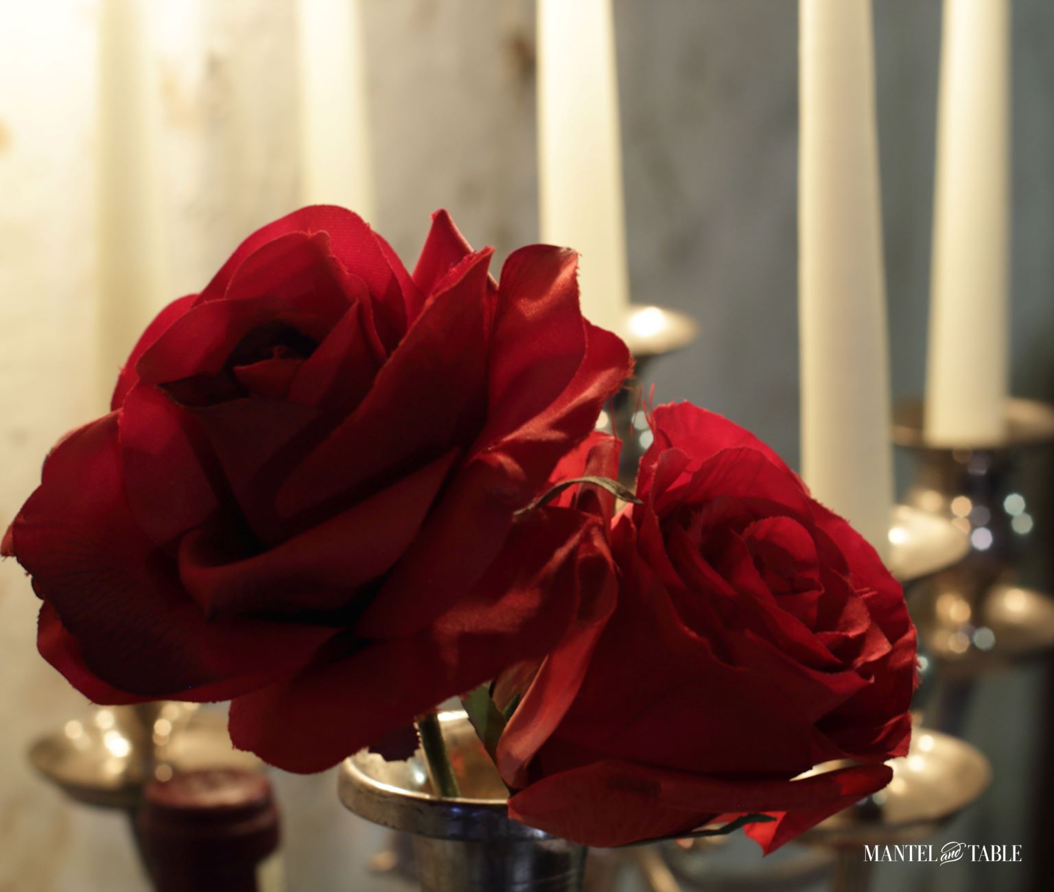 Wine Cellar Dinner ~ Red roses and candles