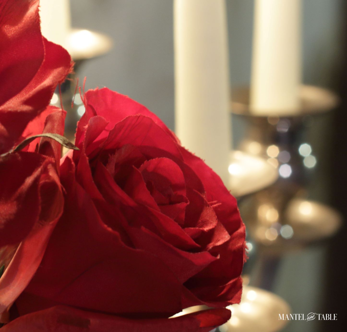 Wine Cellar Dinner ~ Red rose closeup