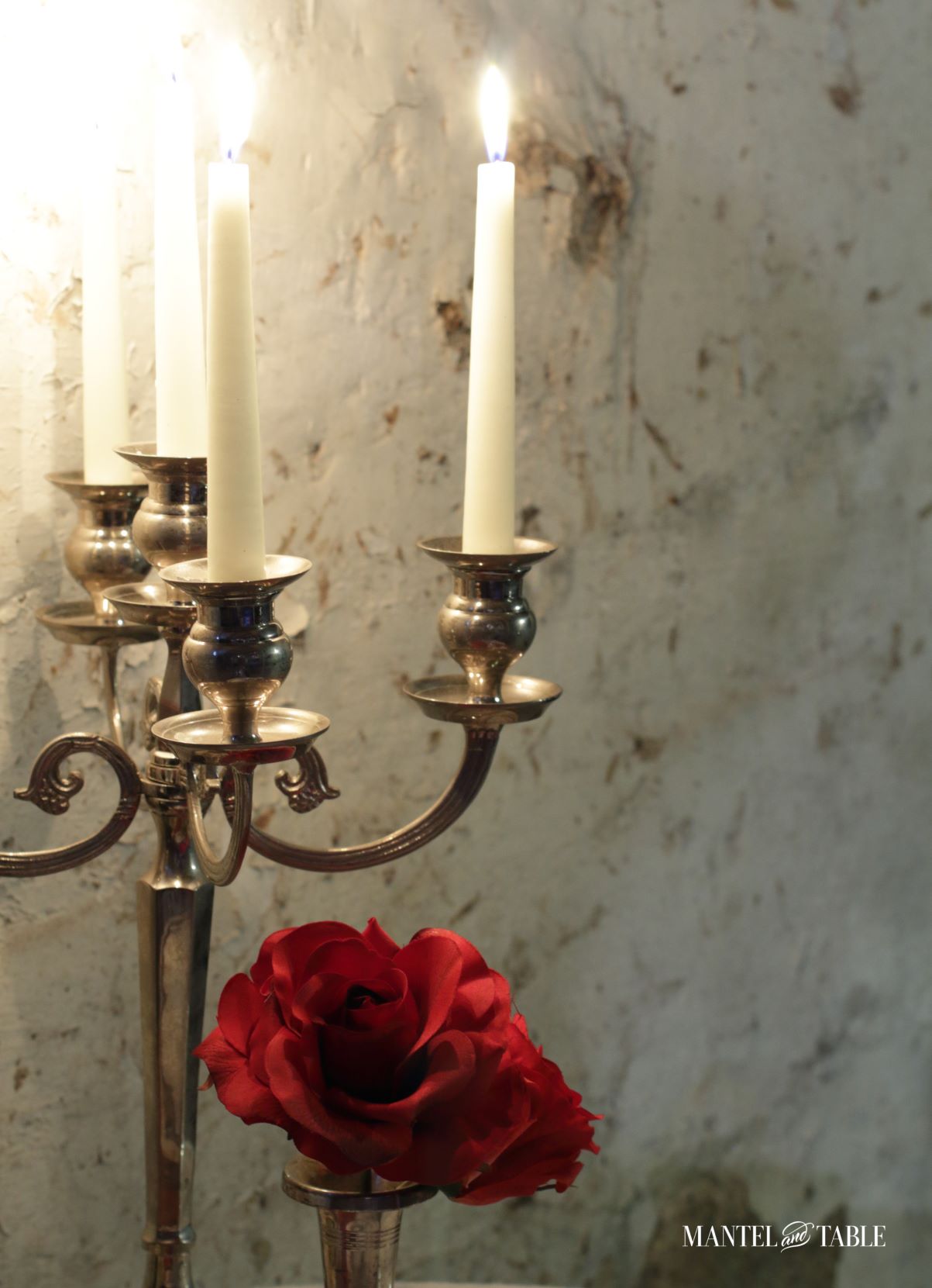 Wine Cellar Dinner ~ Silver candelabra & red rose against old white plaster wall