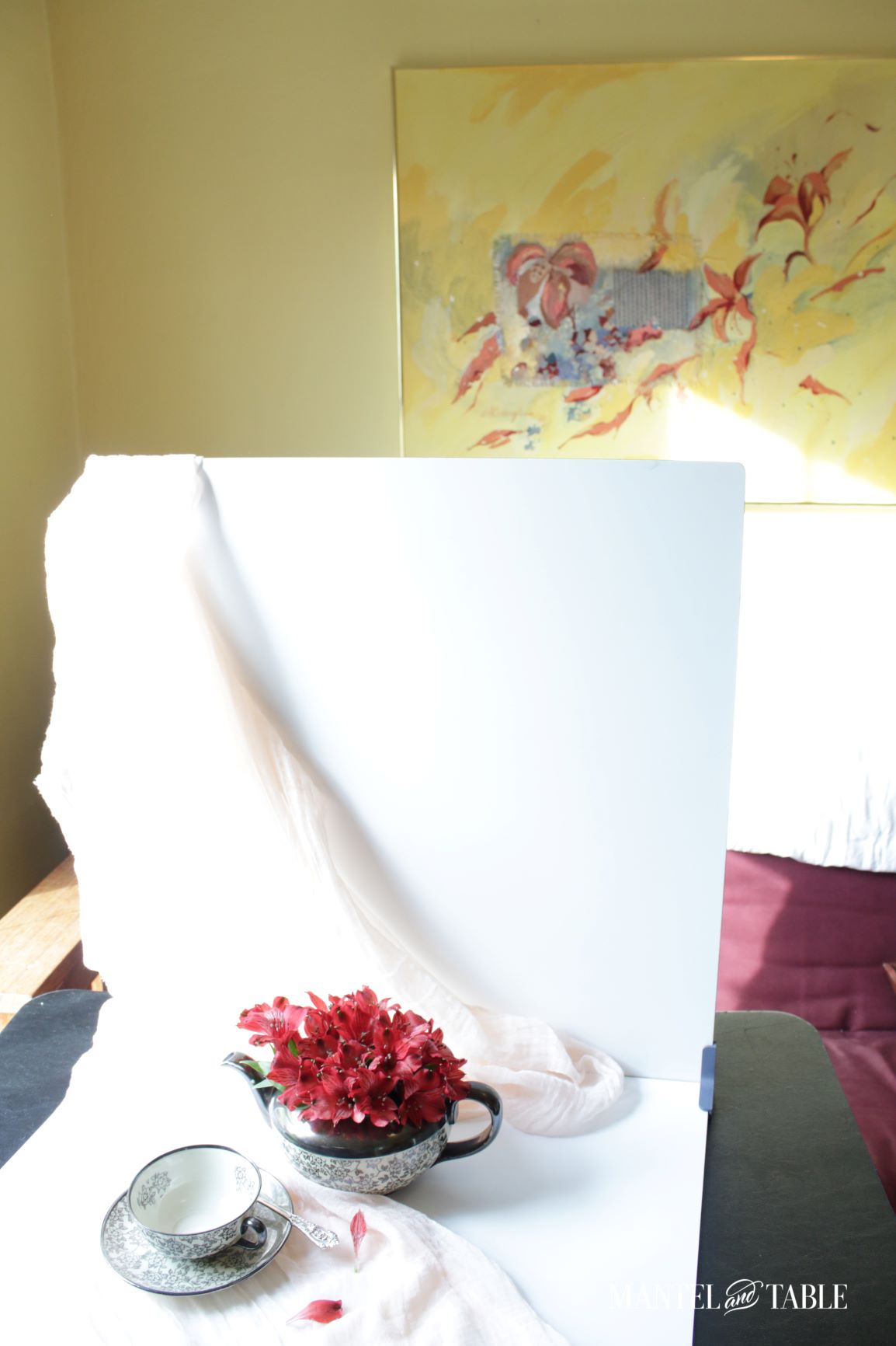 Closeup of photo setup