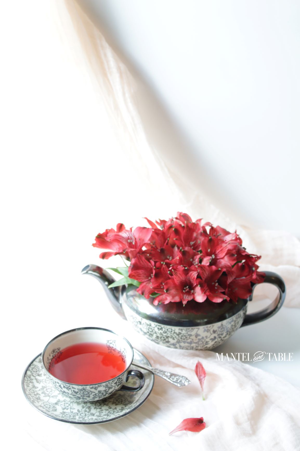 Johann Haviland Black & White Teacup with blush voile background