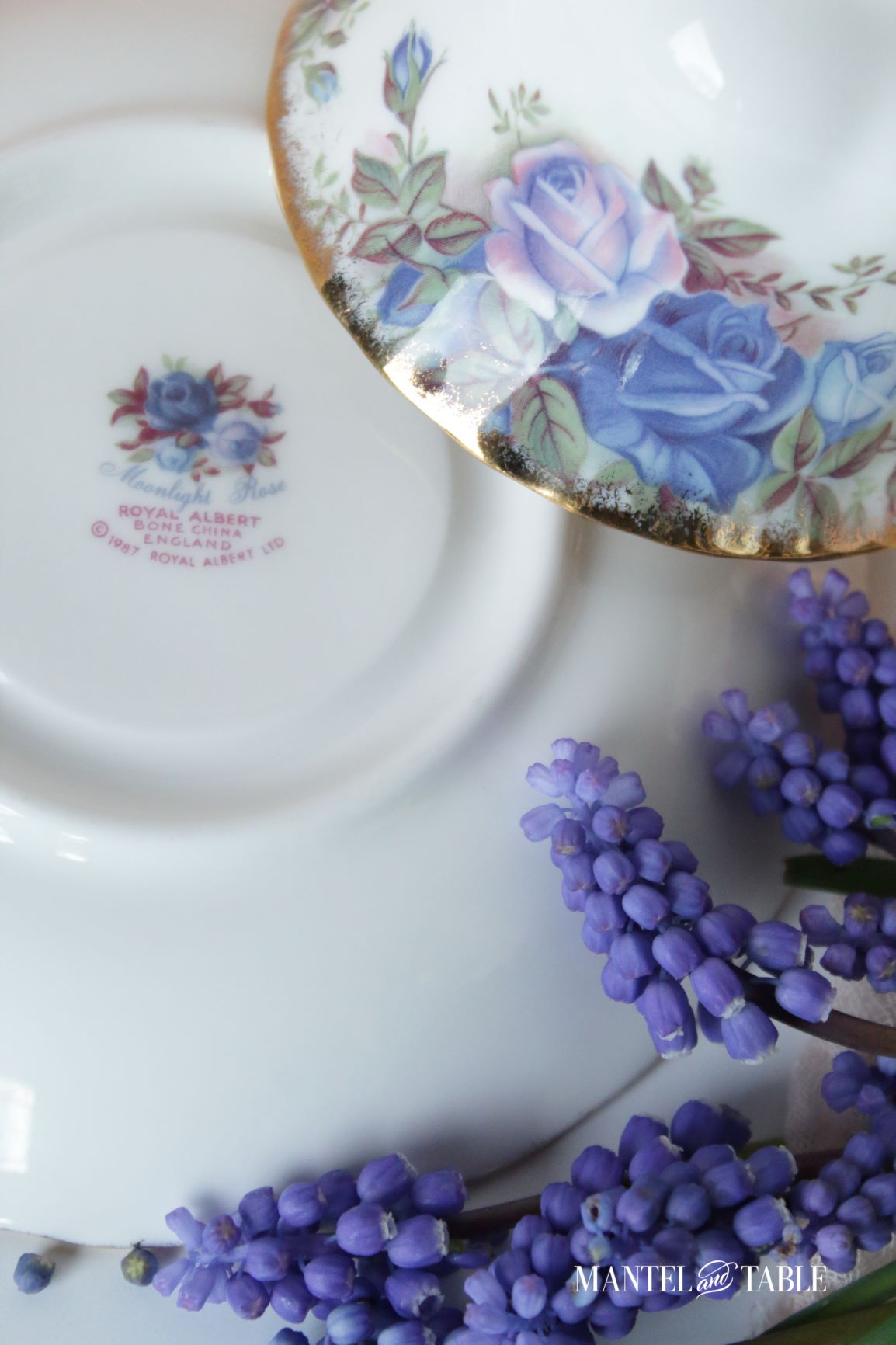 Saucer backstamp
