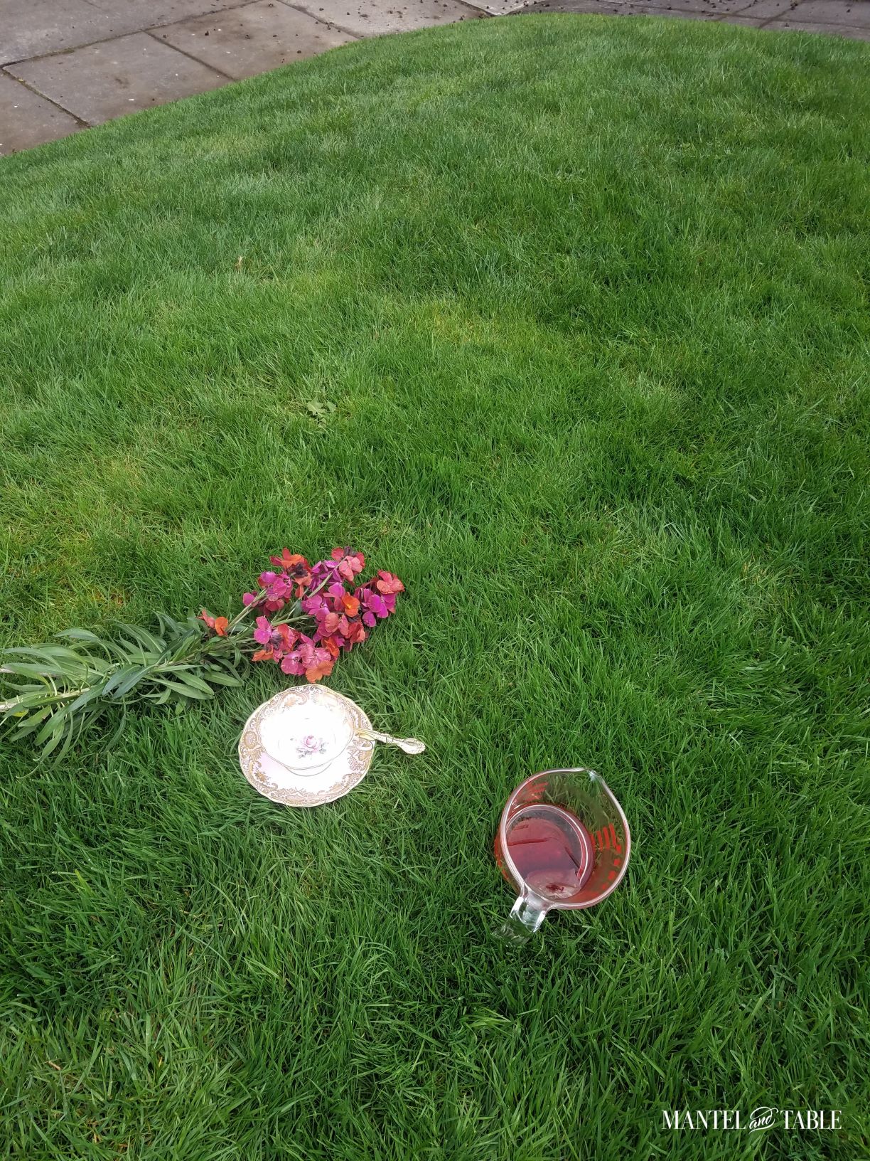 Teacup, flowers, and measuring cup of tea on sloping lawn. Sidewalk beyond.