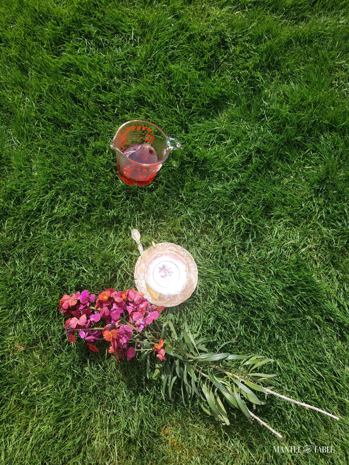 Paragon pink teacup on the lawn - photo setup from above