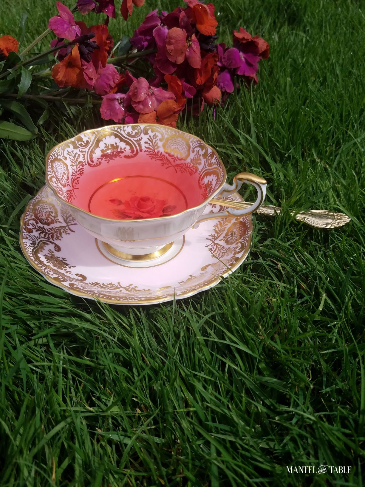 Paragon pink teacup and saucer with tea