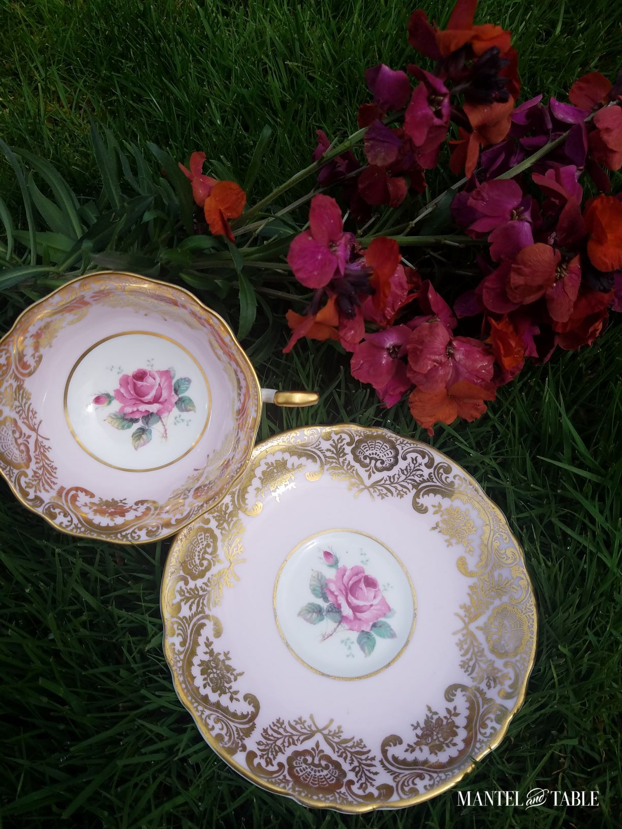 Paragon pink teacup on the lawn beside matching saucer