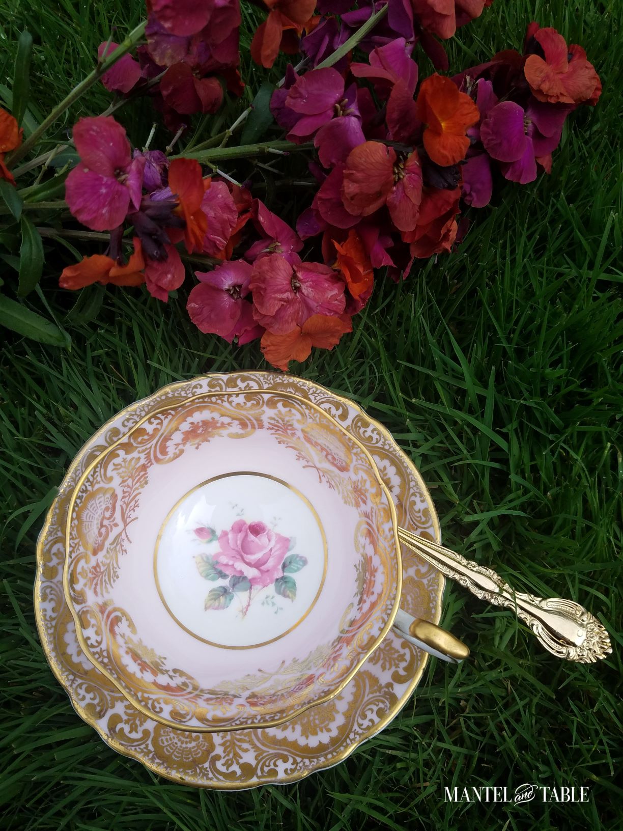 Teacup and saucer top view