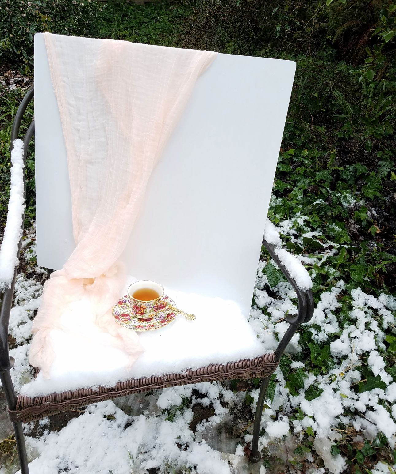 Royal Winton Summertime Teacup on a snow covered patio chair