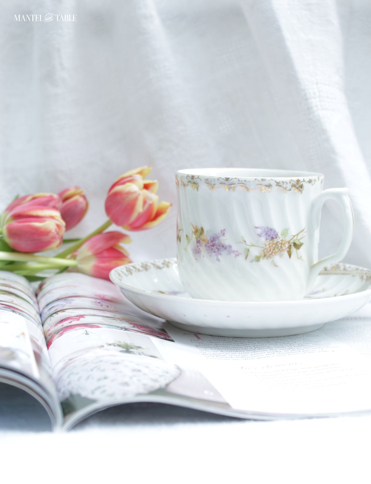 Cup and saucer closeup