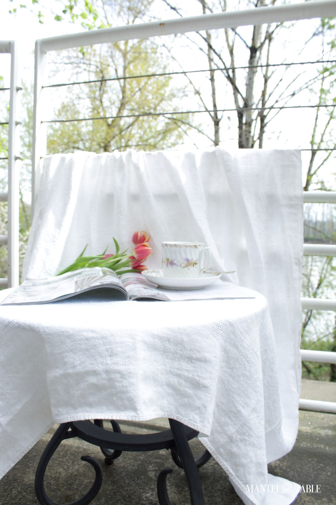 Teacup photo setup closeup