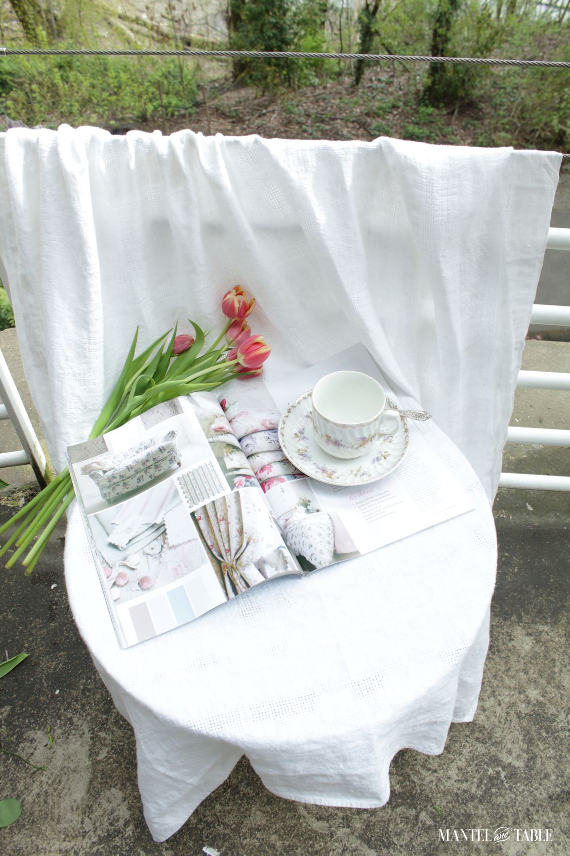 Carl Tielsch cup and saucer photo set up full view