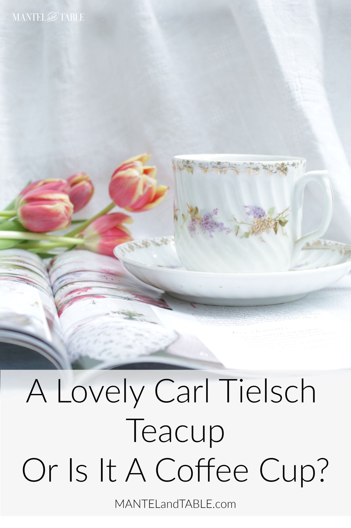 Carl Tielsch teacup with Pinterest banner