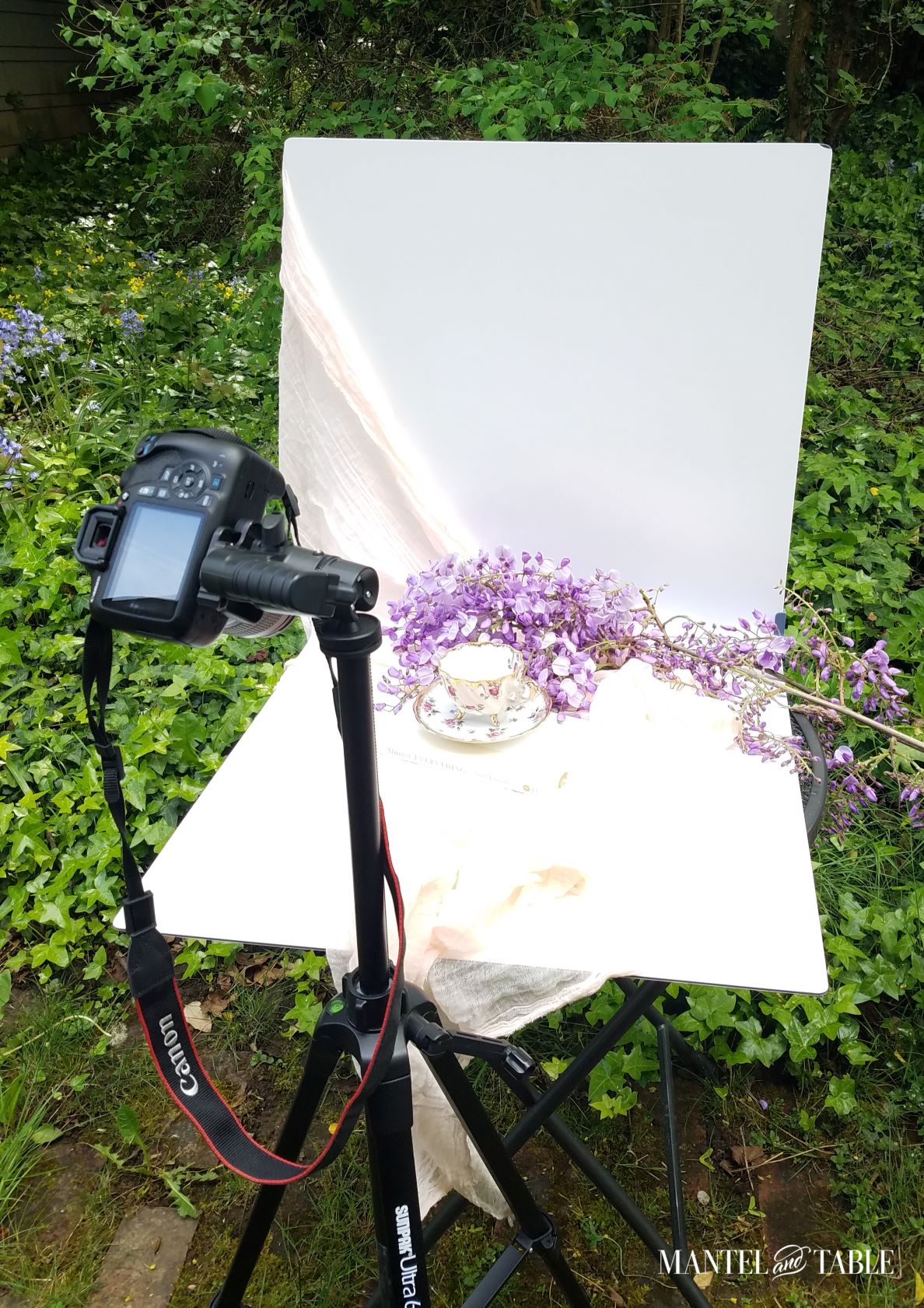 Photography set up with camera on tripod